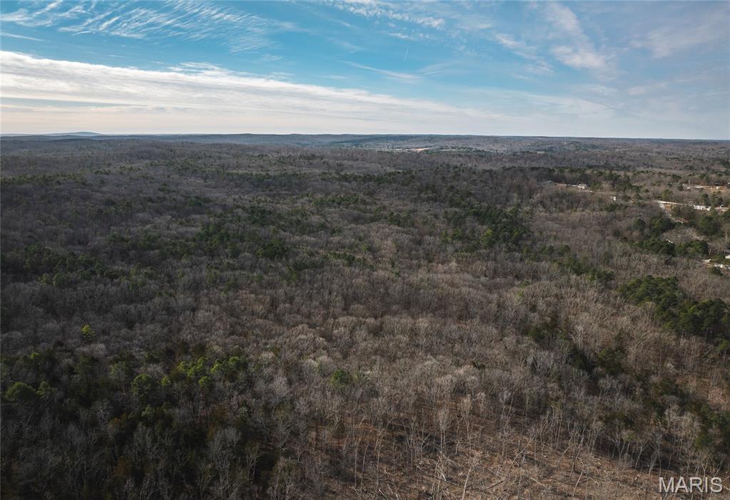 0 Bust Subdivision Road Potosi, MO 63664 - Photo 2 of 45