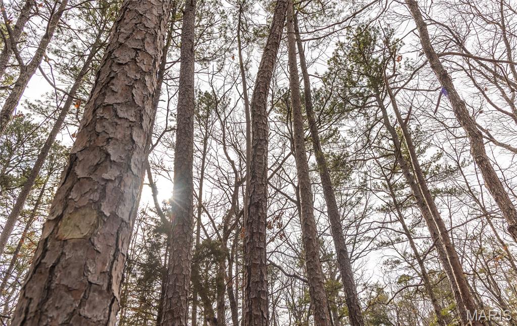 0 Bust Subdivision Road Potosi, MO 63664 - Photo 21 of 45