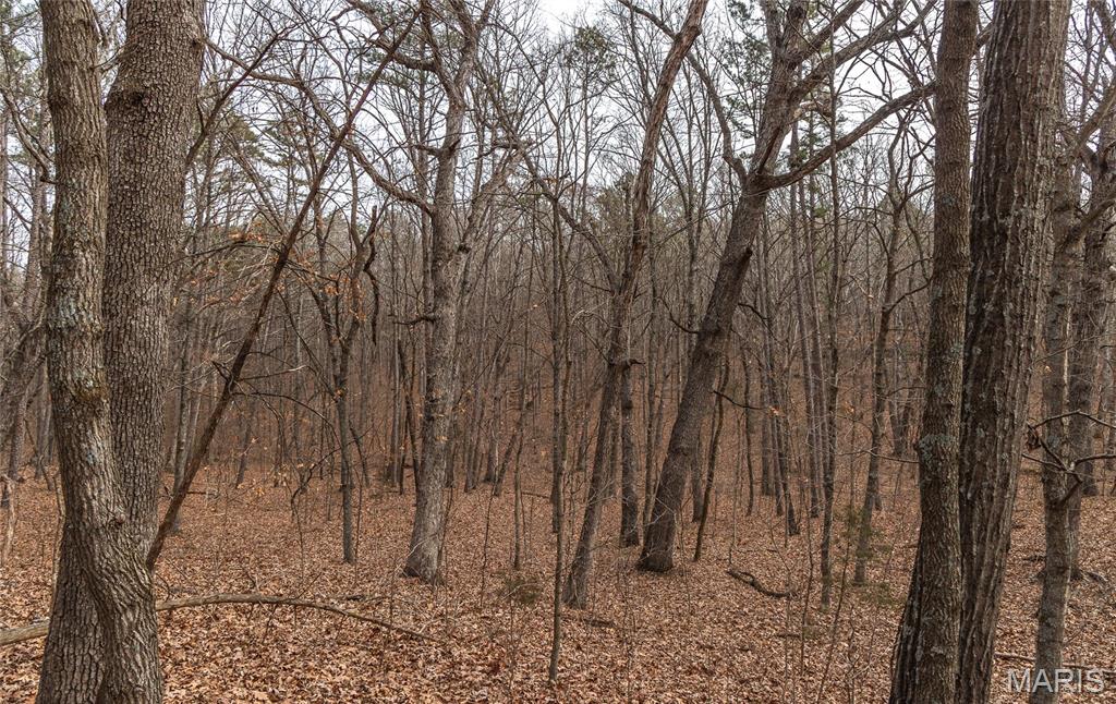 0 Bust Subdivision Road Potosi, MO 63664 - Photo 22 of 45