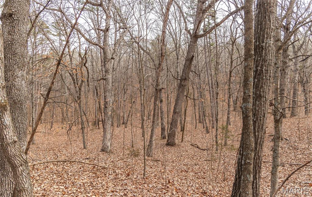 0 Bust Subdivision Road Potosi, MO 63664 - Photo 23 of 45