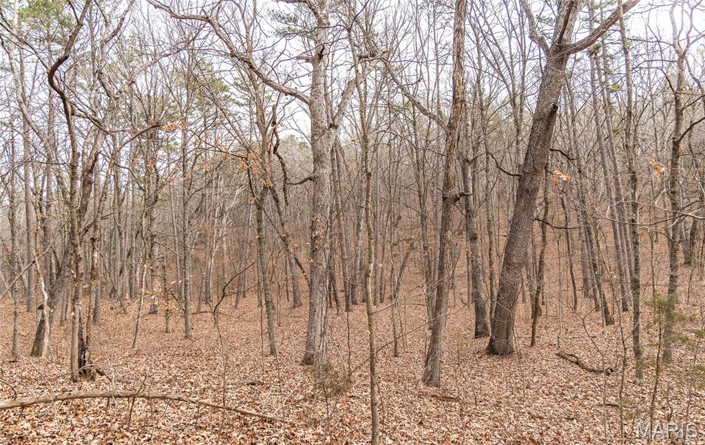 0 Bust Subdivision Road Potosi, MO 63664 - Photo 25 of 45