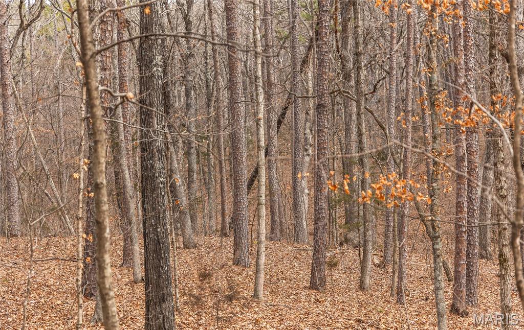 0 Bust Subdivision Road Potosi, MO 63664 - Photo 26 of 45