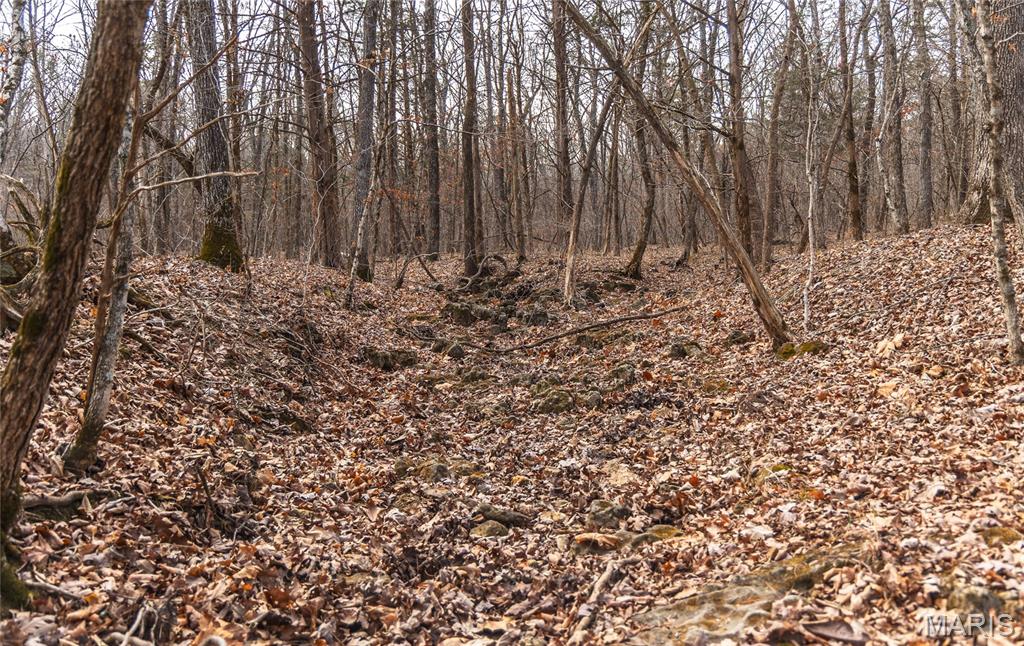 0 Bust Subdivision Road Potosi, MO 63664 - Photo 27 of 45