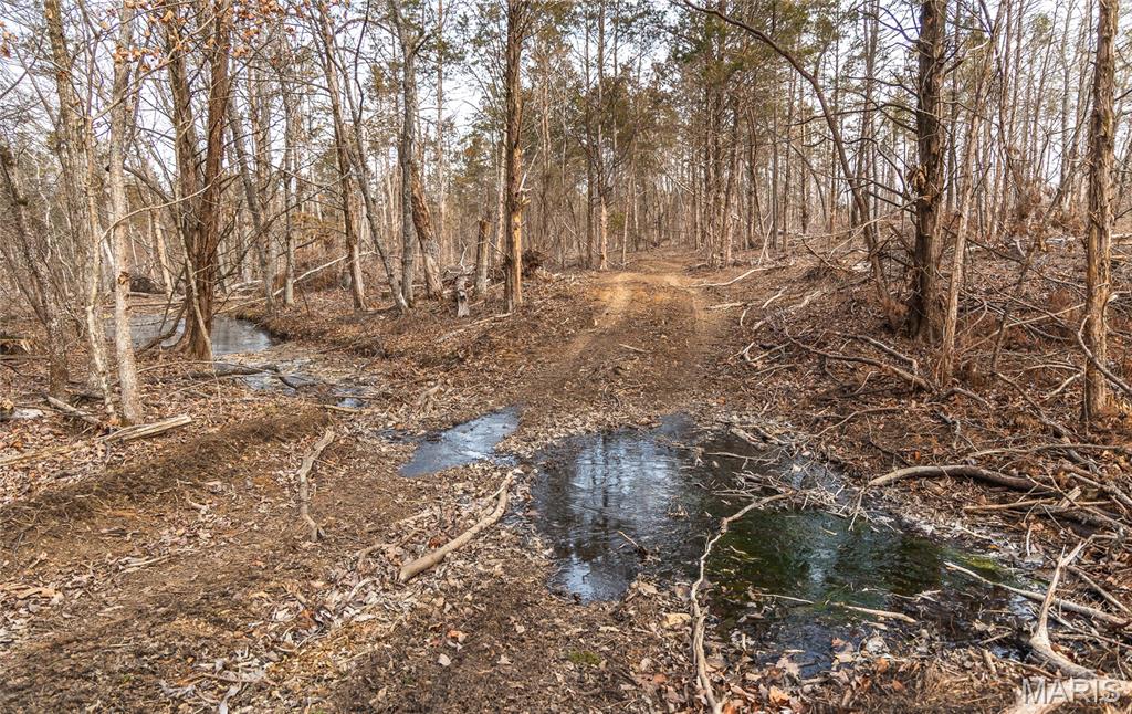 0 Bust Subdivision Road Potosi, MO 63664 - Photo 29 of 45