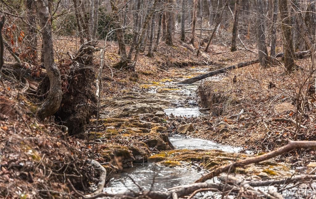 0 Bust Subdivision Road Potosi, MO 63664 - Photo 30 of 45