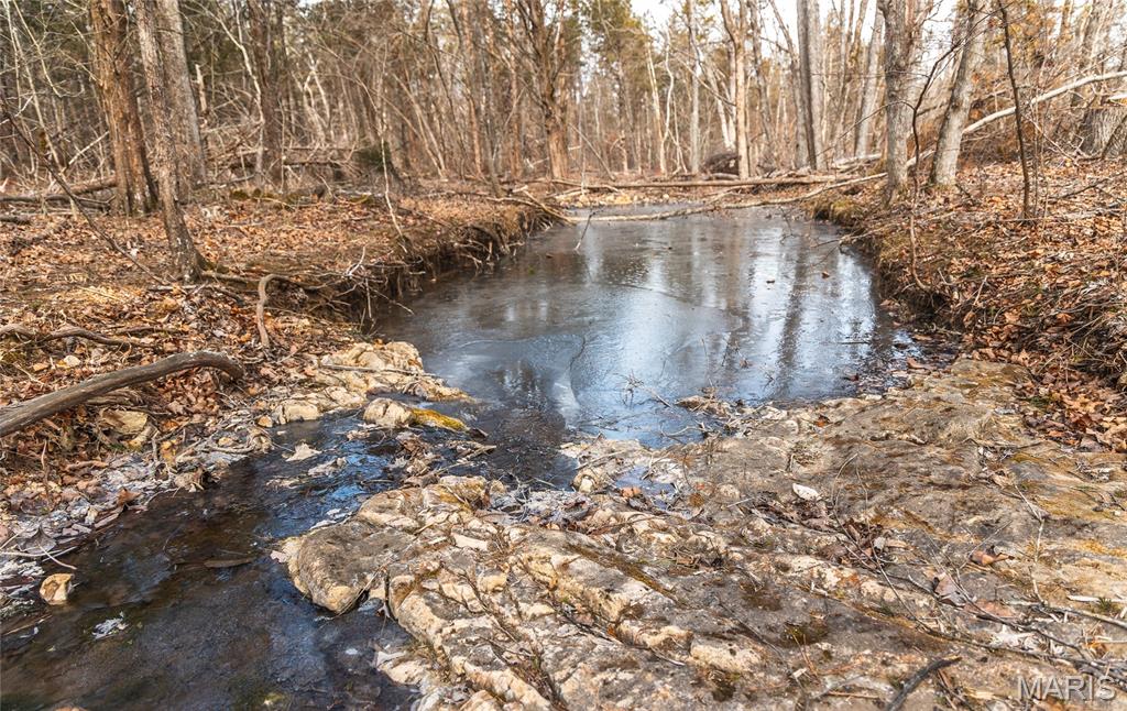 0 Bust Subdivision Road Potosi, MO 63664 - Photo 31 of 45