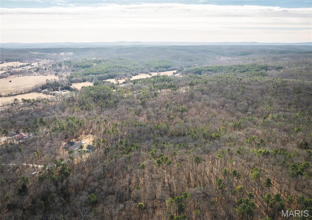 0 Bust Subdivision Road Potosi, MO 63664 - Photo 34 of 45