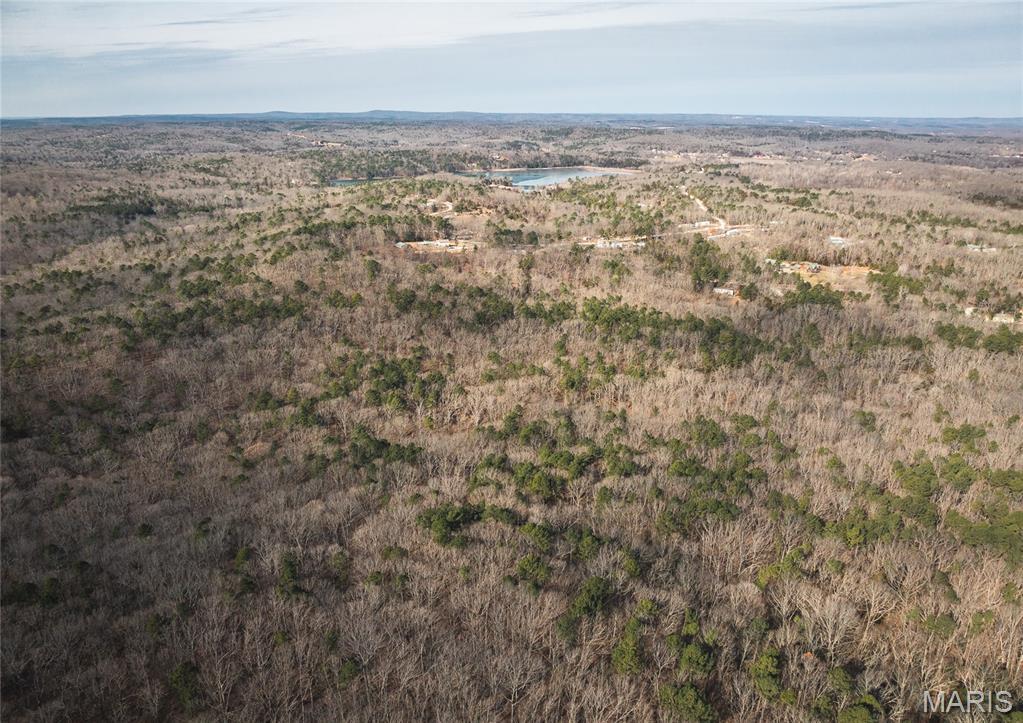 0 Bust Subdivision Road Potosi, MO 63664 - Photo 35 of 45
