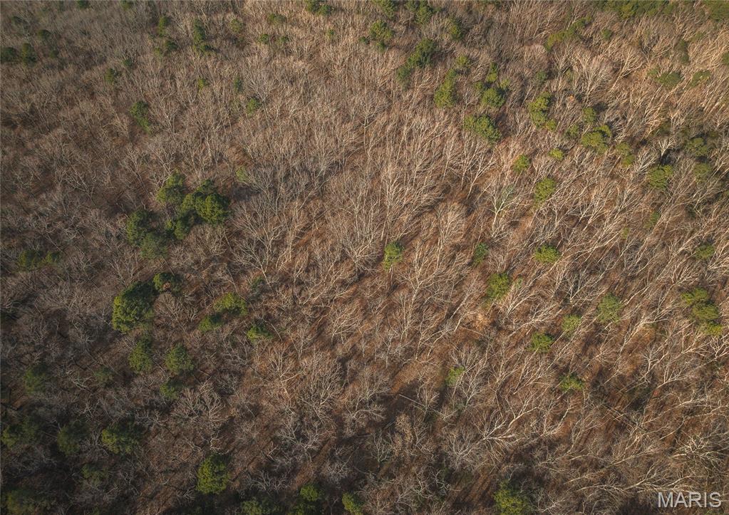 0 Bust Subdivision Road Potosi, MO 63664 - Photo 36 of 45