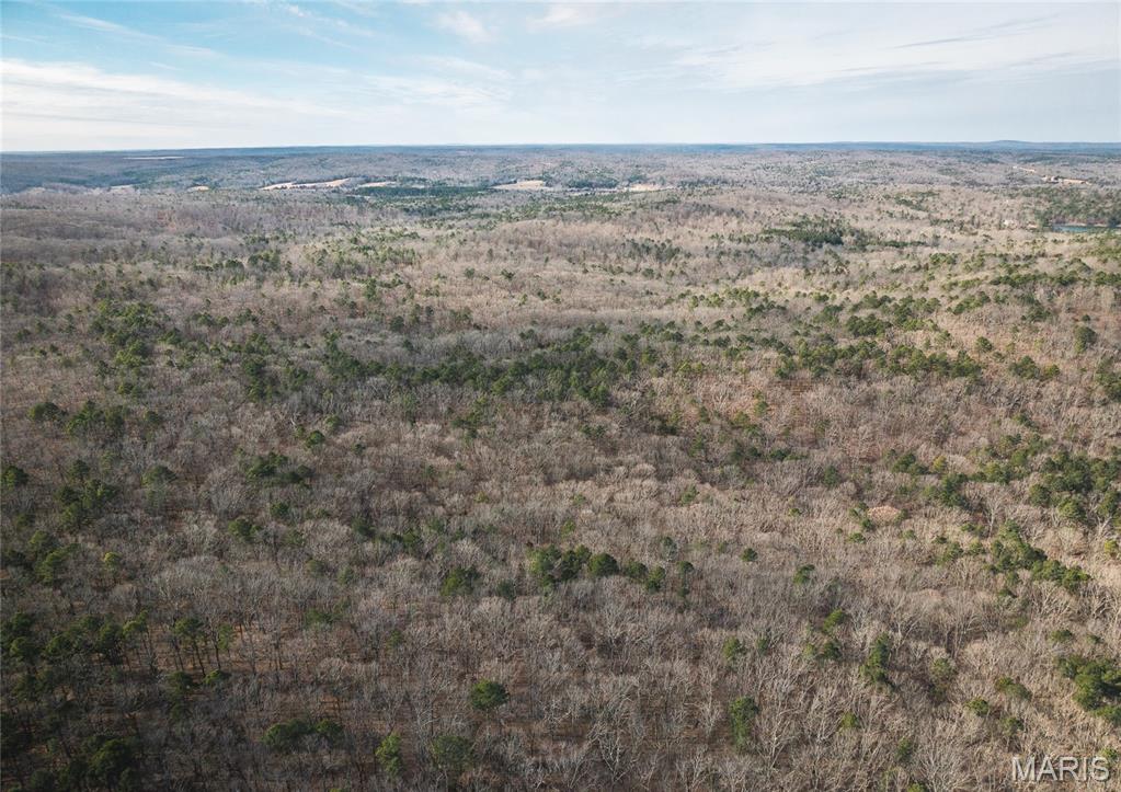 0 Bust Subdivision Road Potosi, MO 63664 - Photo 38 of 45