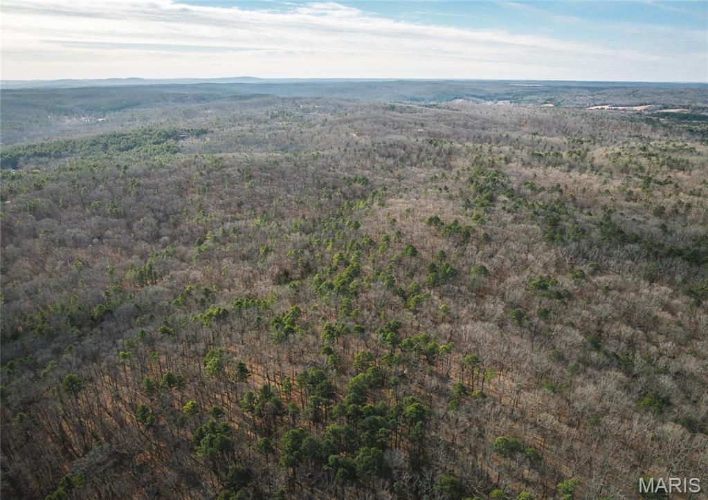 0 Bust Subdivision Road Potosi, MO 63664 - Photo 39 of 45