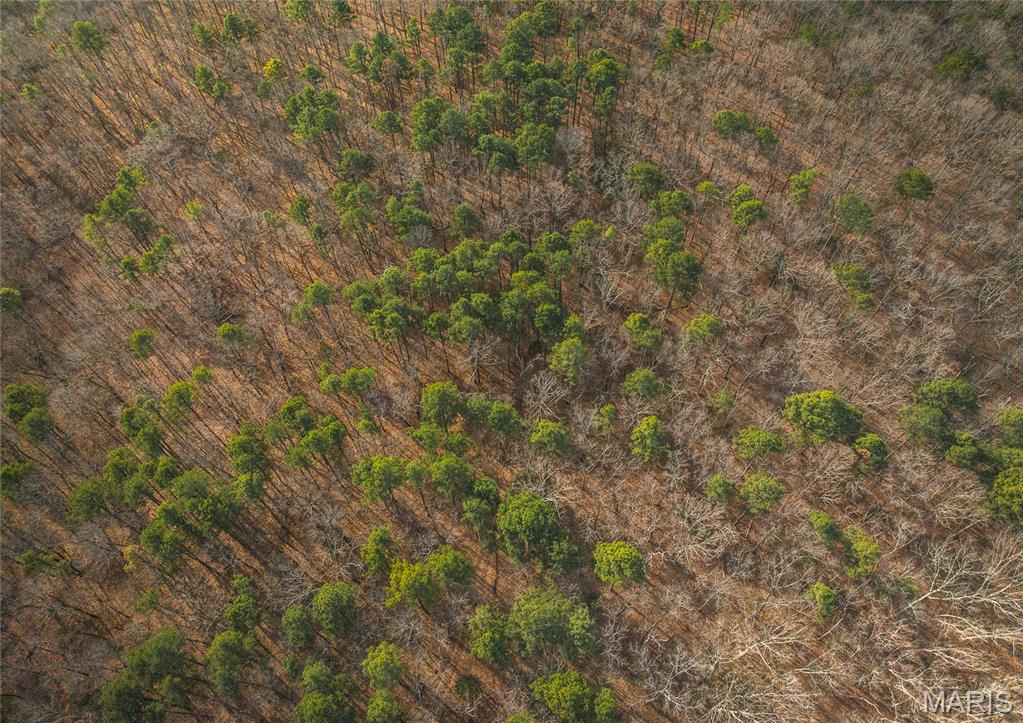 0 Bust Subdivision Road Potosi, MO 63664 - Photo 40 of 45