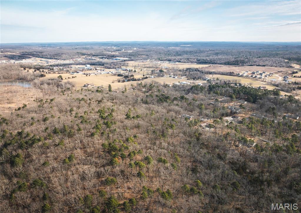 0 Bust Subdivision Road Potosi, MO 63664 - Photo 43 of 45