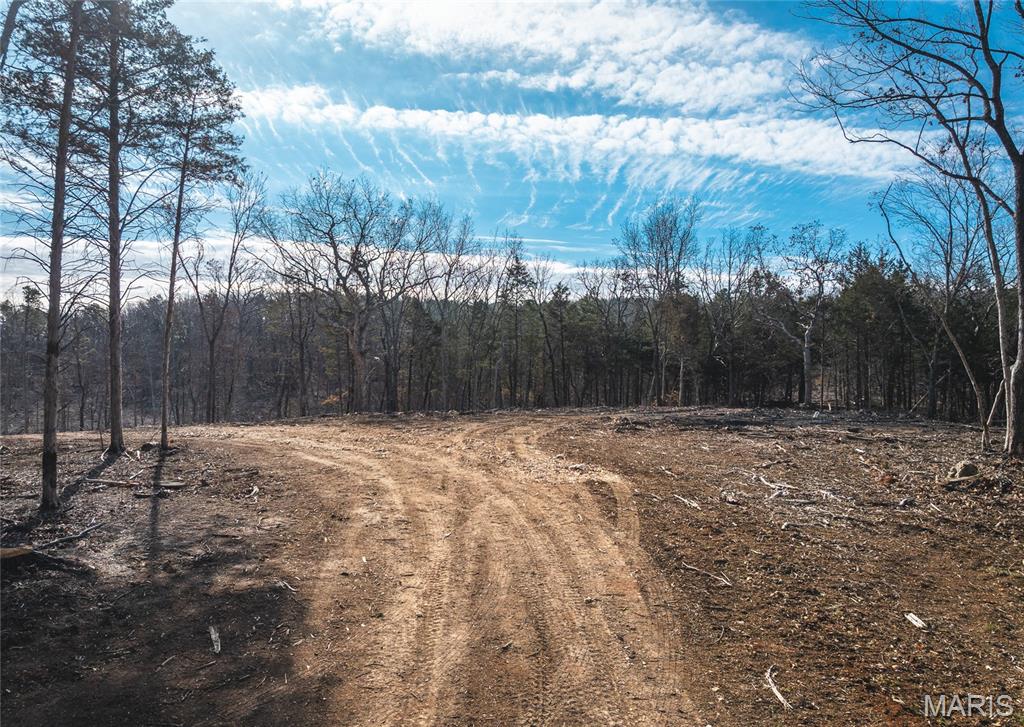 0 Bust Subdivision Road Potosi, MO 63664 - Photo 8 of 45