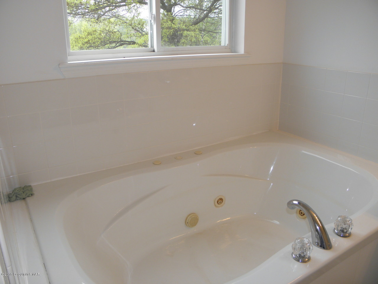 798 Beaver Dam Road Long Pond, PA 18334 - Photo 16 of 34 Master Bath w/ Lake View