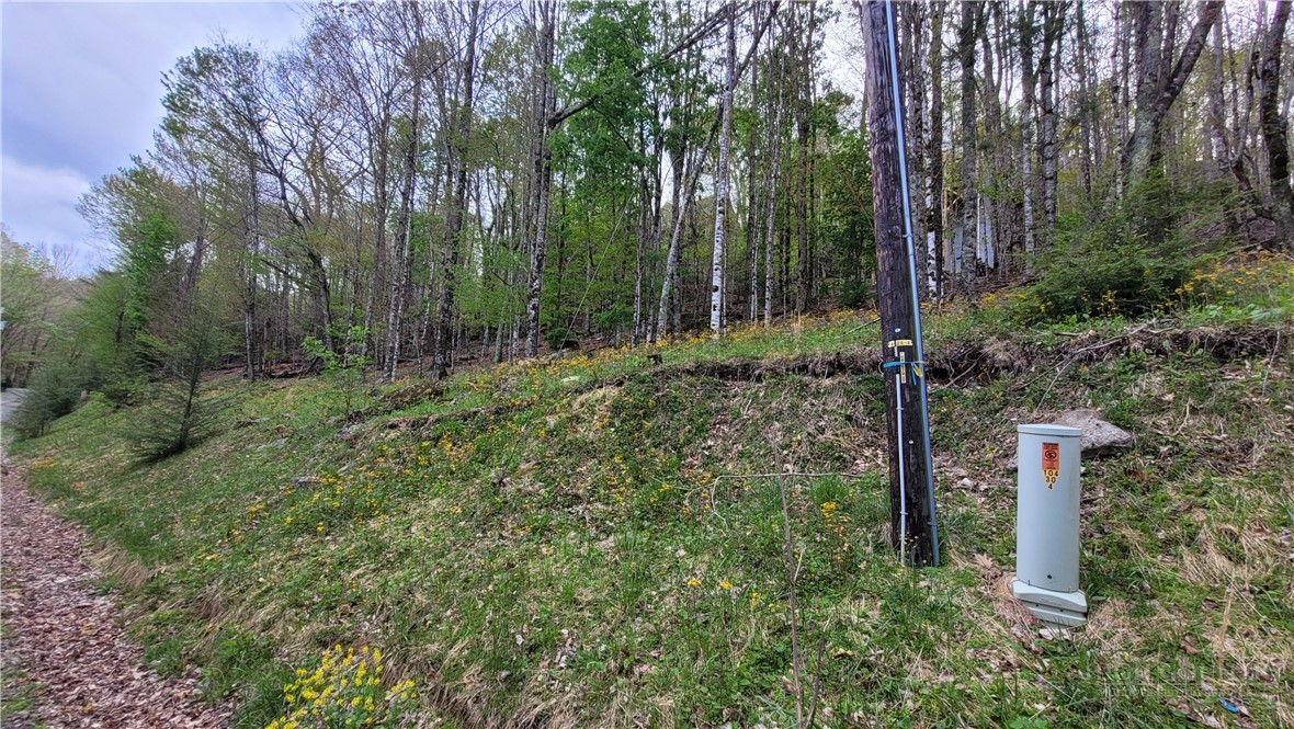 241 Lakeledge Road Beech Mountain, NC 28604 - Photo 10 of 21 a big yard with lots of green space and plants