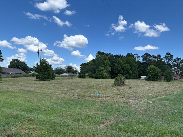 0 Walnut Street Thomson, GA 30824 - Photo 13 of 22 IMG_5641