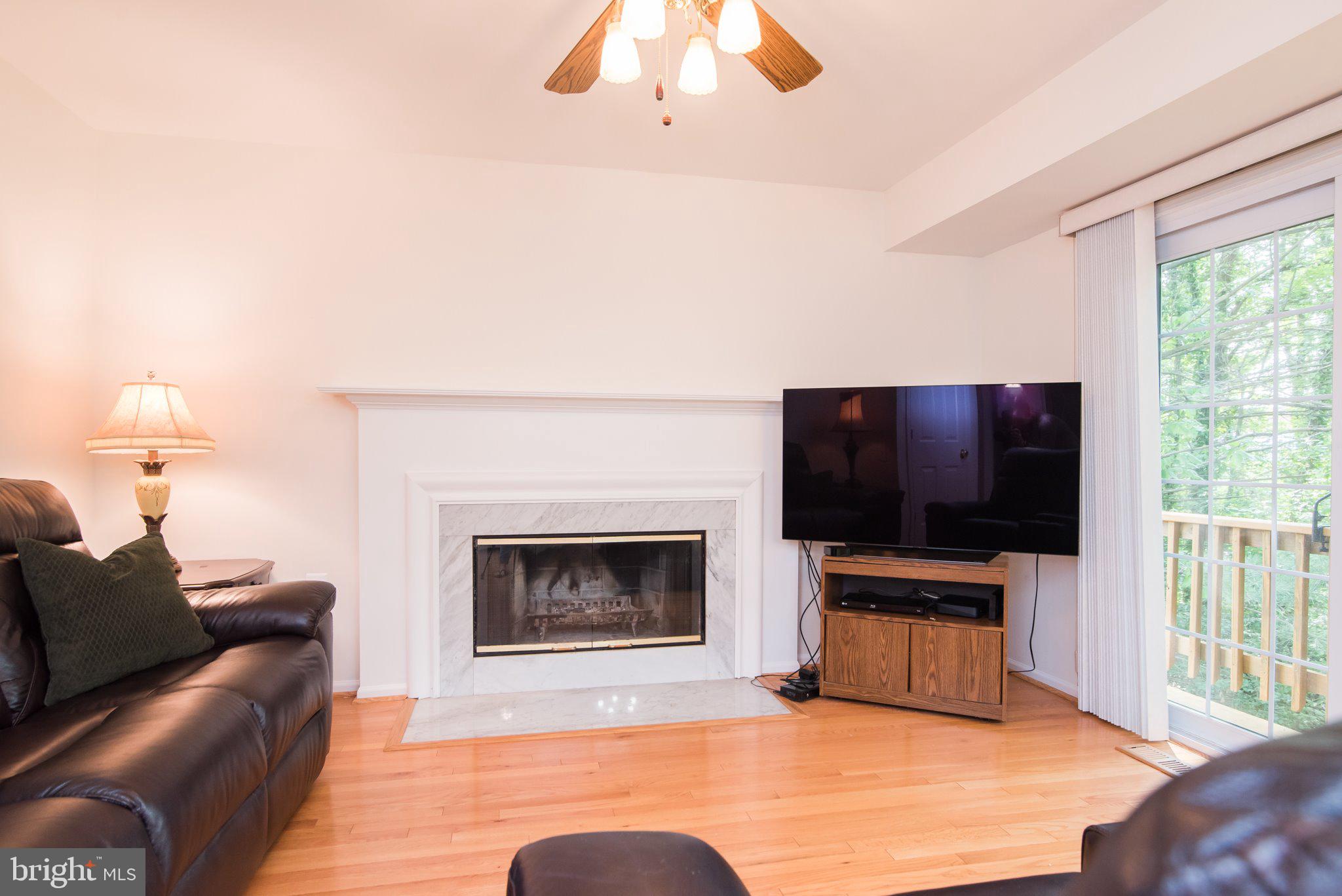 320 Deer Path Avenue Southwest Leesburg, VA 20175 - Photo 13 of 32 Cozy wood burning fireplace