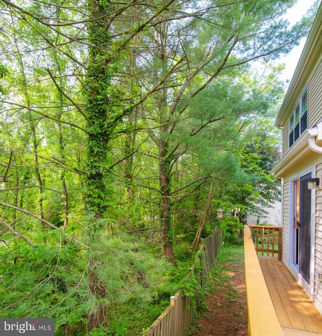 320 Deer Path Avenue Southwest Leesburg, VA 20175 - Photo 16 of 32 Home backs to woods