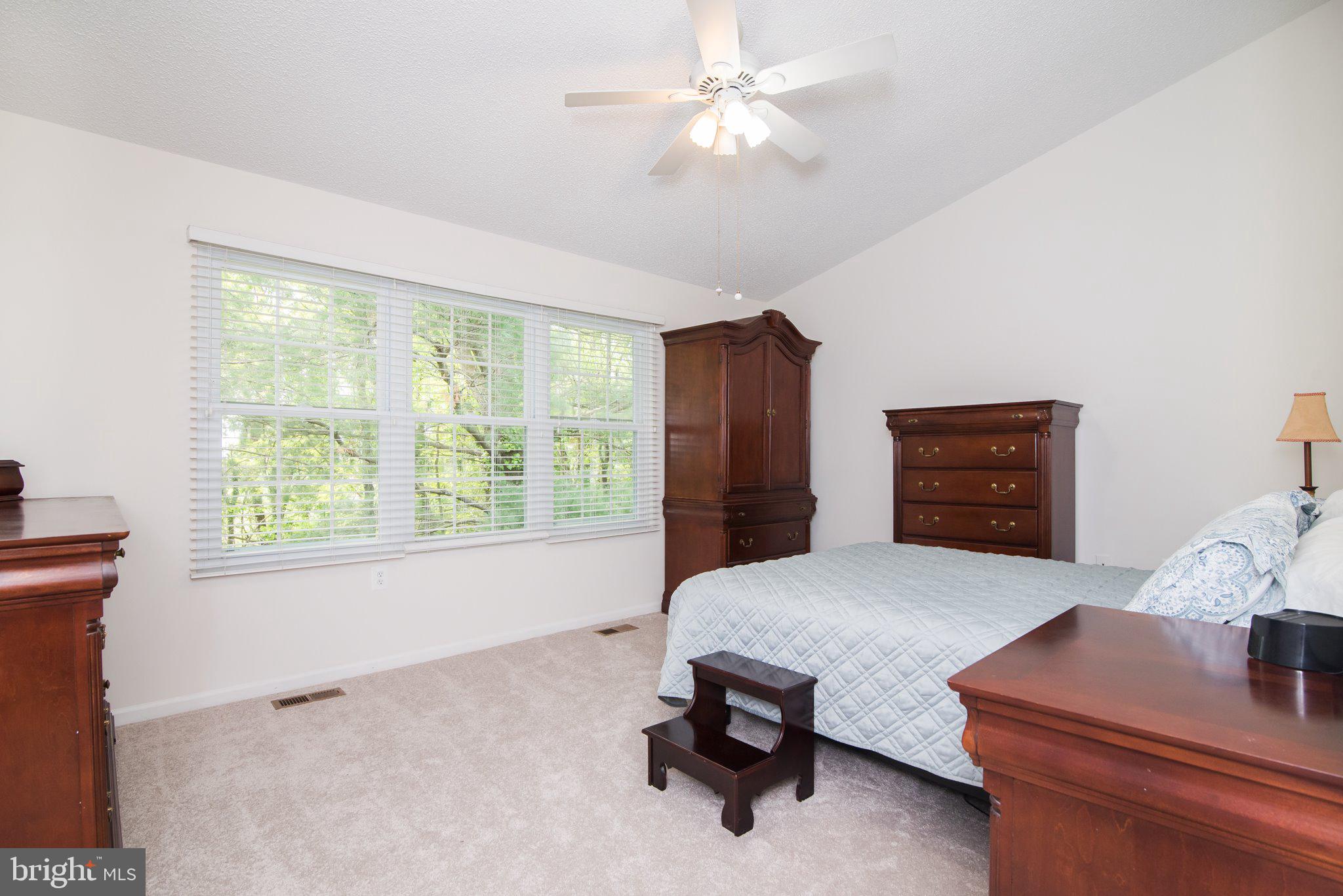 320 Deer Path Avenue Southwest Leesburg, VA 20175 - Photo 22 of 32 Bright light from windows in primary bedroom