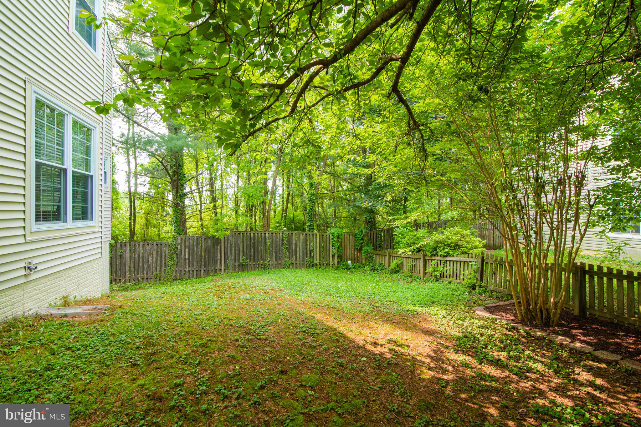 320 Deer Path Avenue Southwest Leesburg, VA 20175 - Photo 29 of 32 Extra yard space for whatever the buyer needs