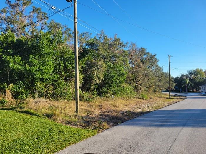 Dartmouth Ave Spring Hill Spring Hill, FL 34606 - Photo 1 of 1 a view of a backyard