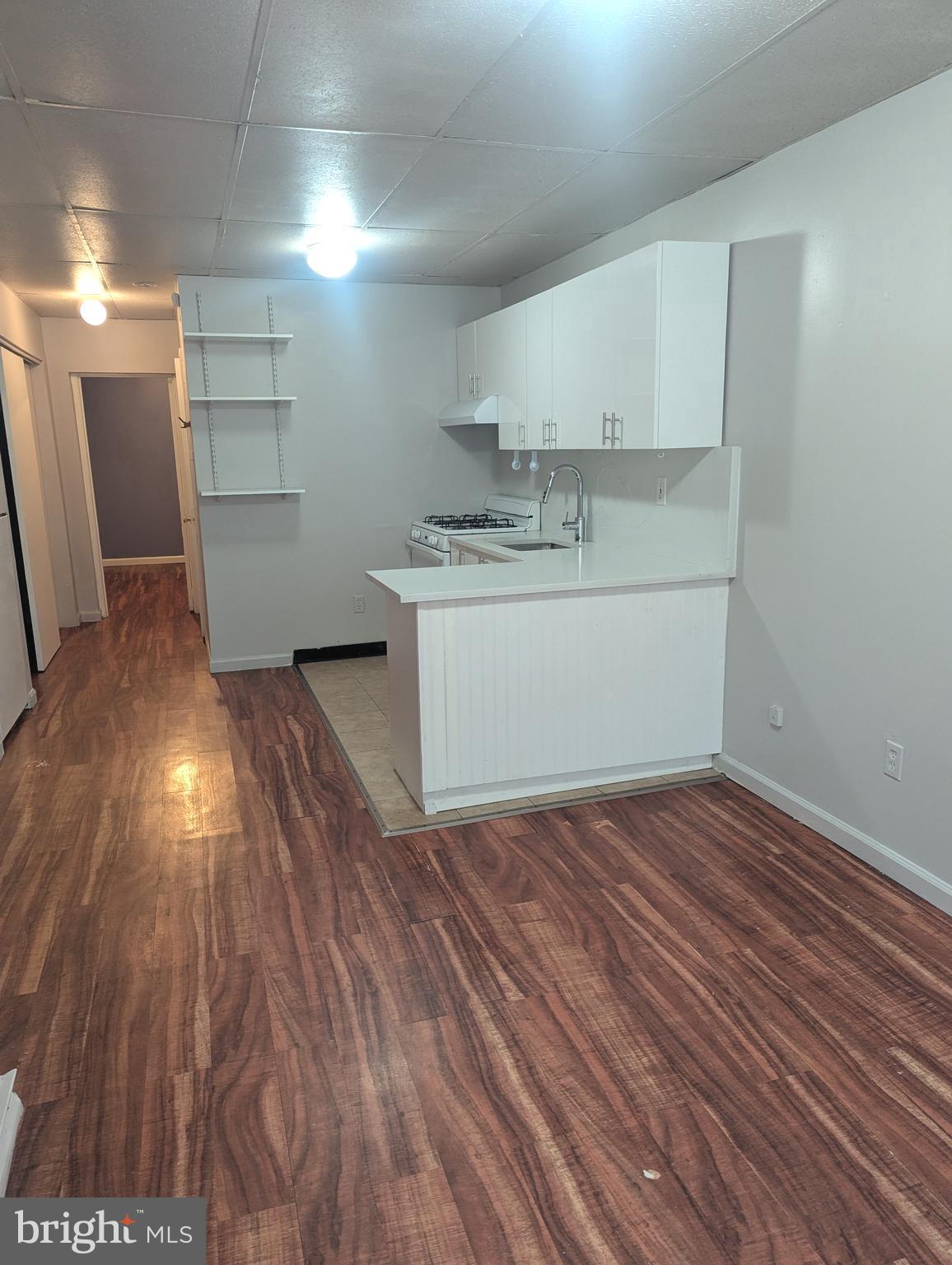 813 West Porter Street, Unit 1 Philadelphia, PA 19148 - Photo 1 of 1 a view of a kitchen with wooden floor and a sink