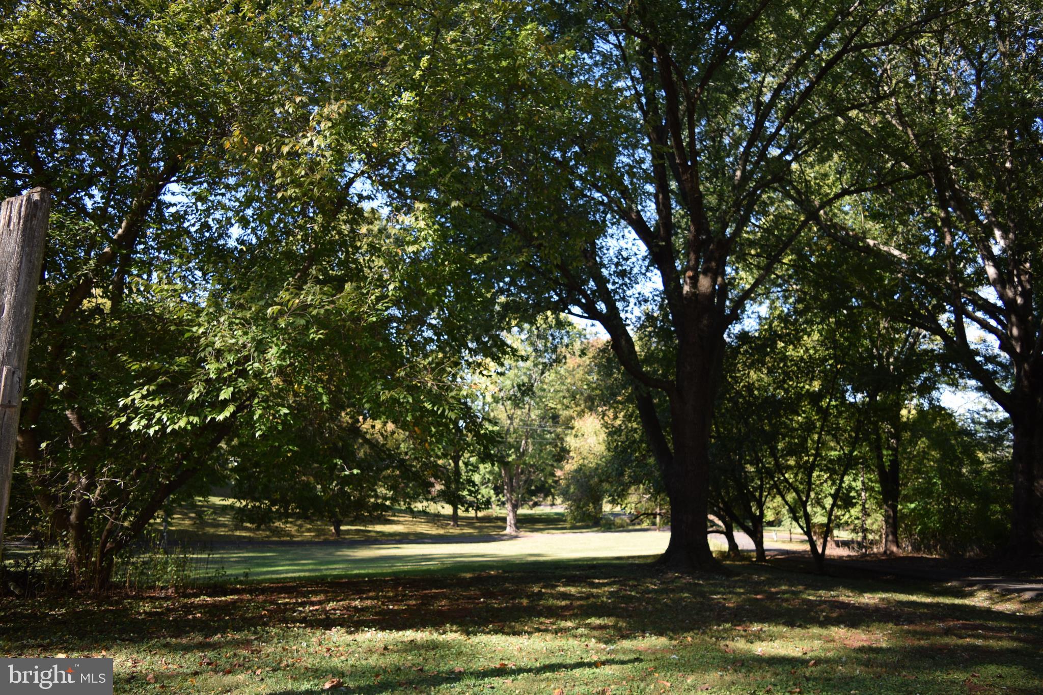 12394 Metlock Road Culpeper, VA 22701 - Photo 13 of 14 Lot with mature trees
