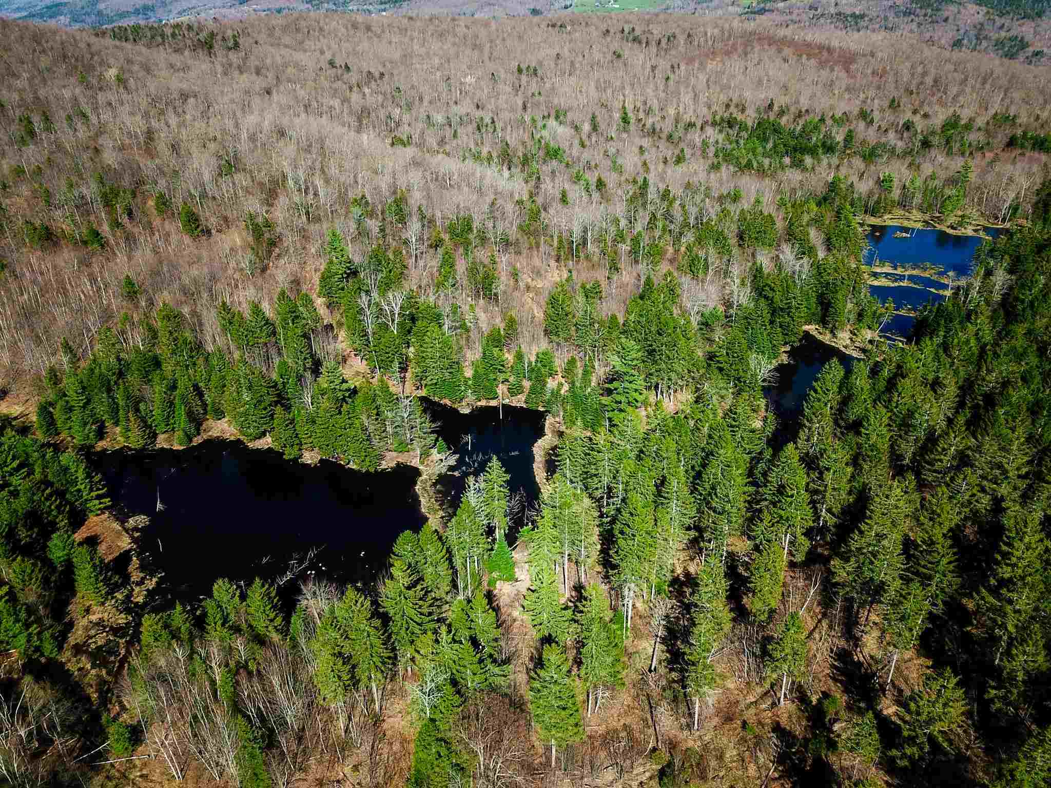 865 Beaver Meadow Road Roxbury, VT 05669 - Photo 2 of 40