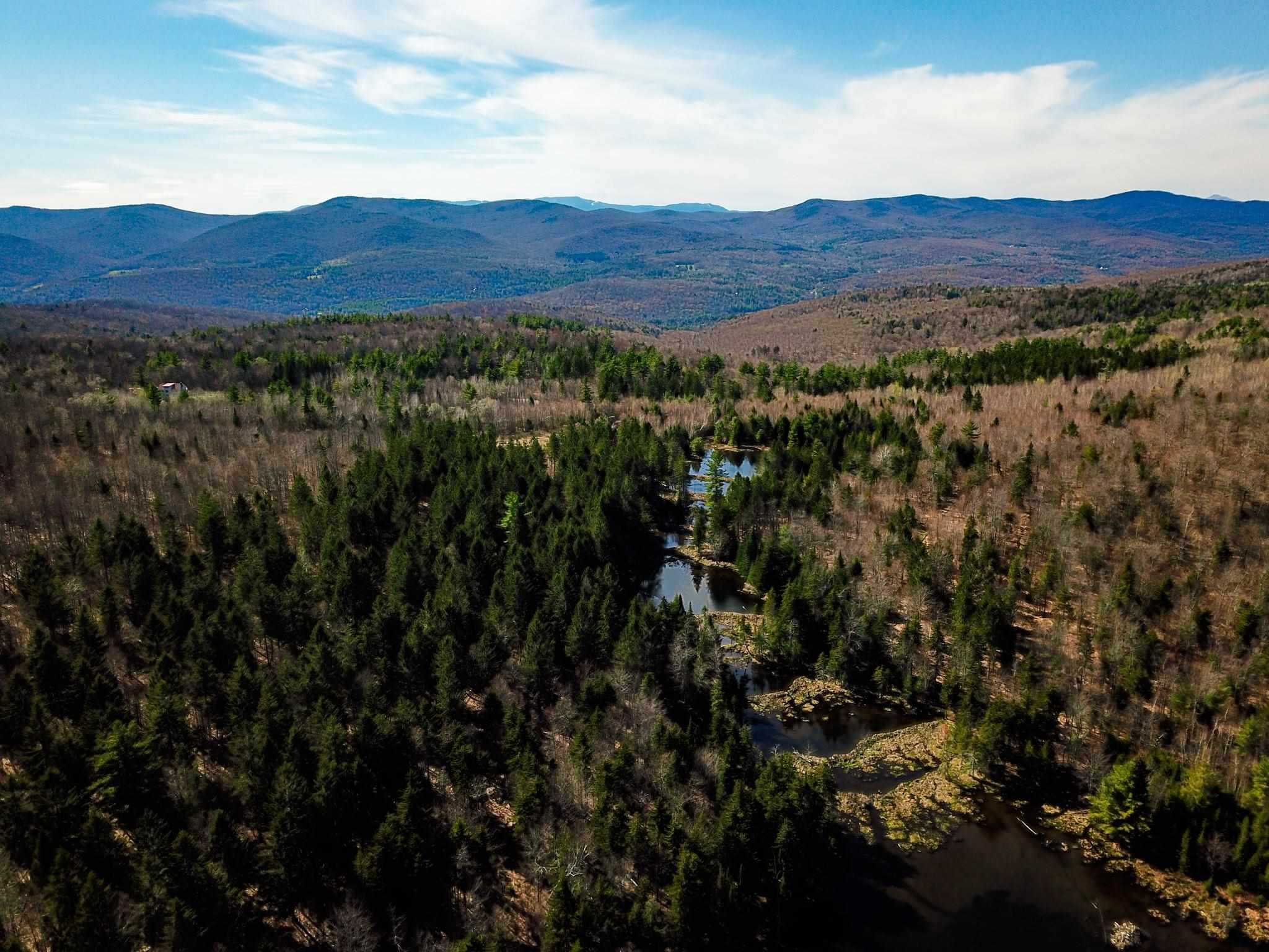 865 Beaver Meadow Road Roxbury, VT 05669 - Photo 12 of 40