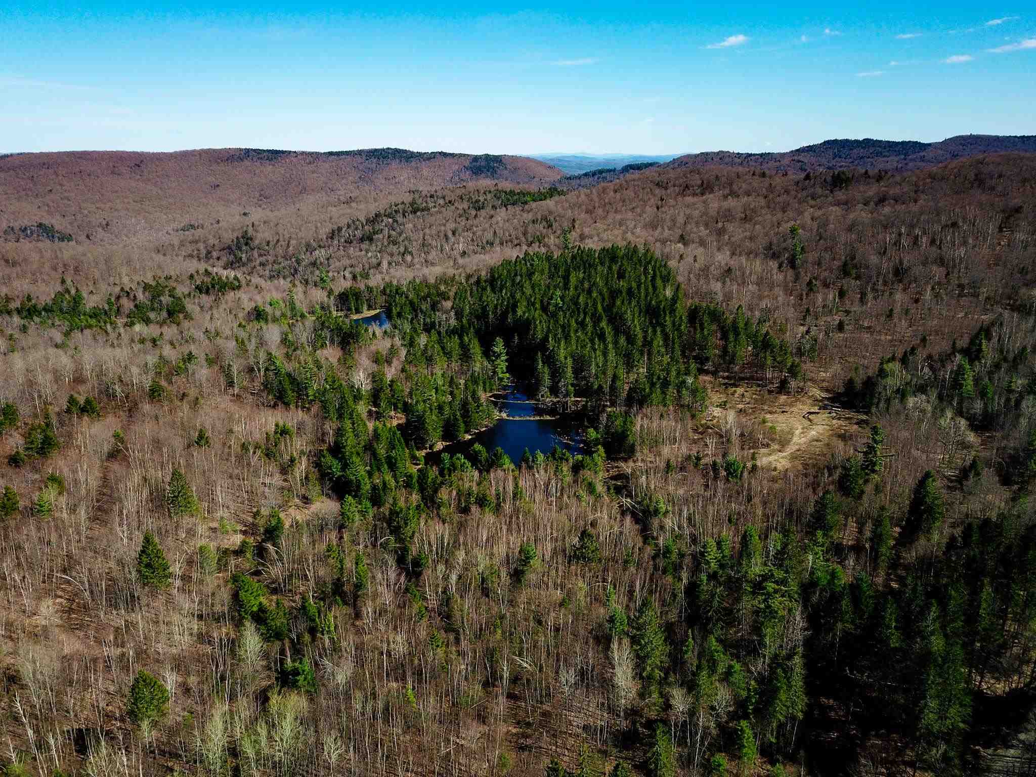 865 Beaver Meadow Road Roxbury, VT 05669 - Photo 14 of 40