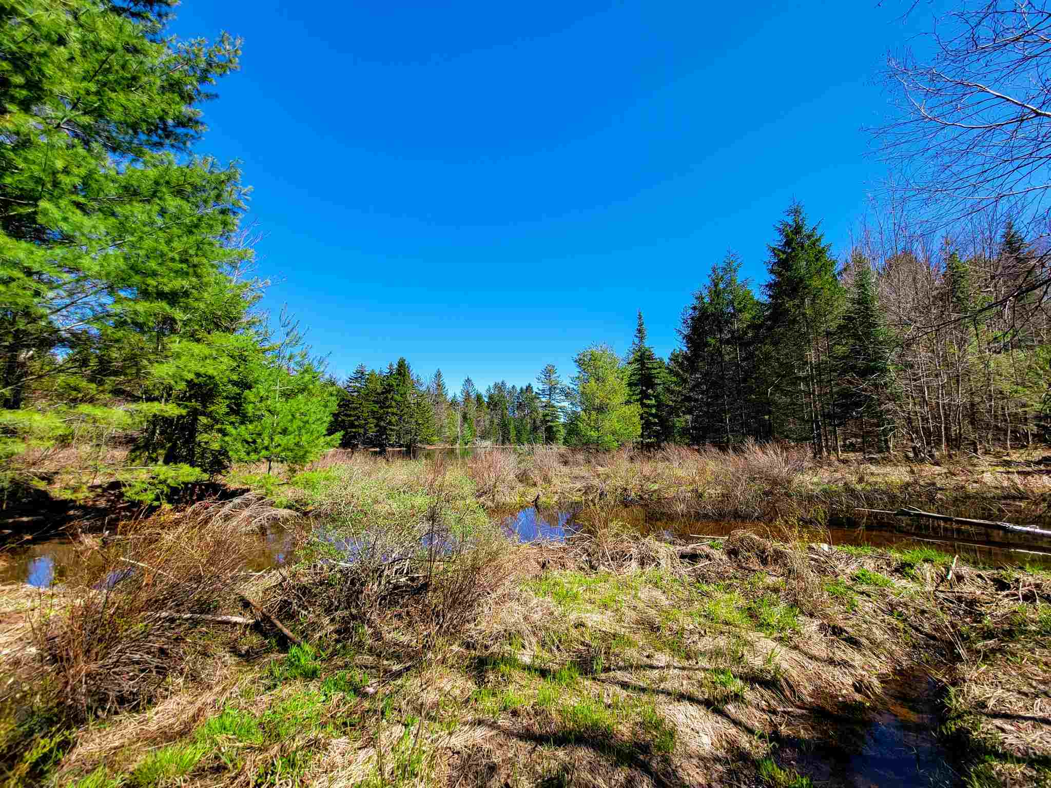 865 Beaver Meadow Road Roxbury, VT 05669 - Photo 19 of 40