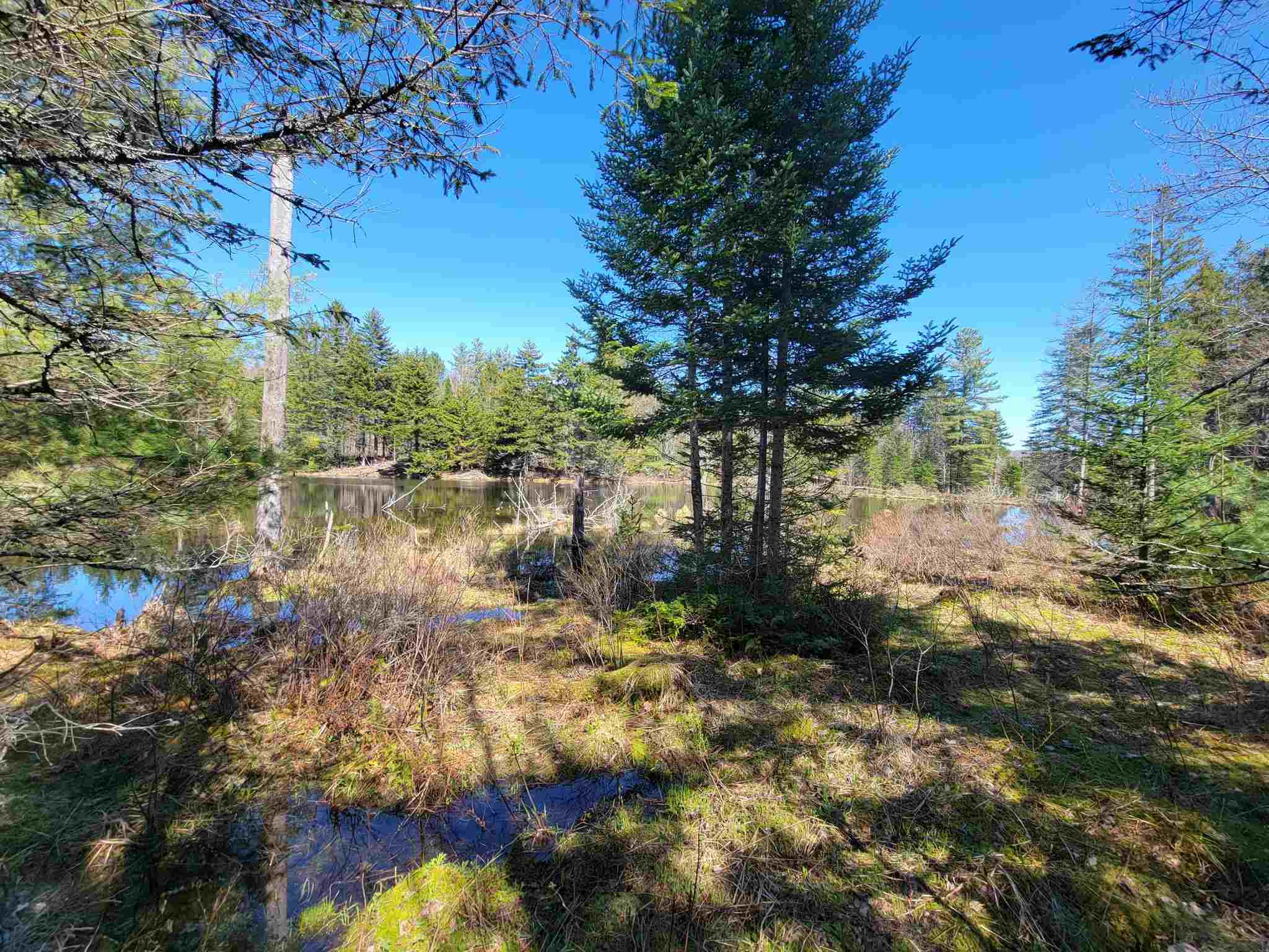 865 Beaver Meadow Road Roxbury, VT 05669 - Photo 20 of 40
