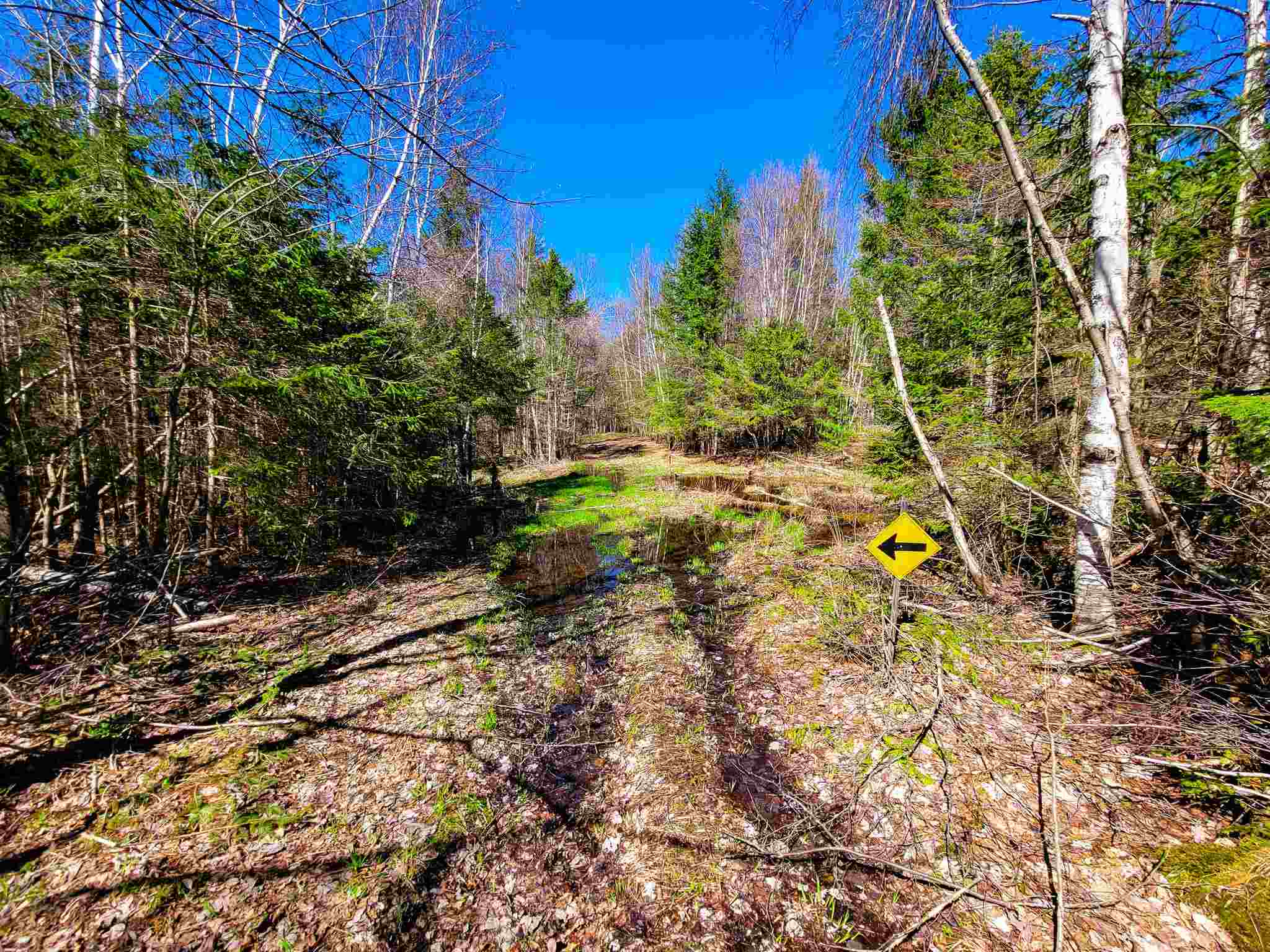 865 Beaver Meadow Road Roxbury, VT 05669 - Photo 21 of 40