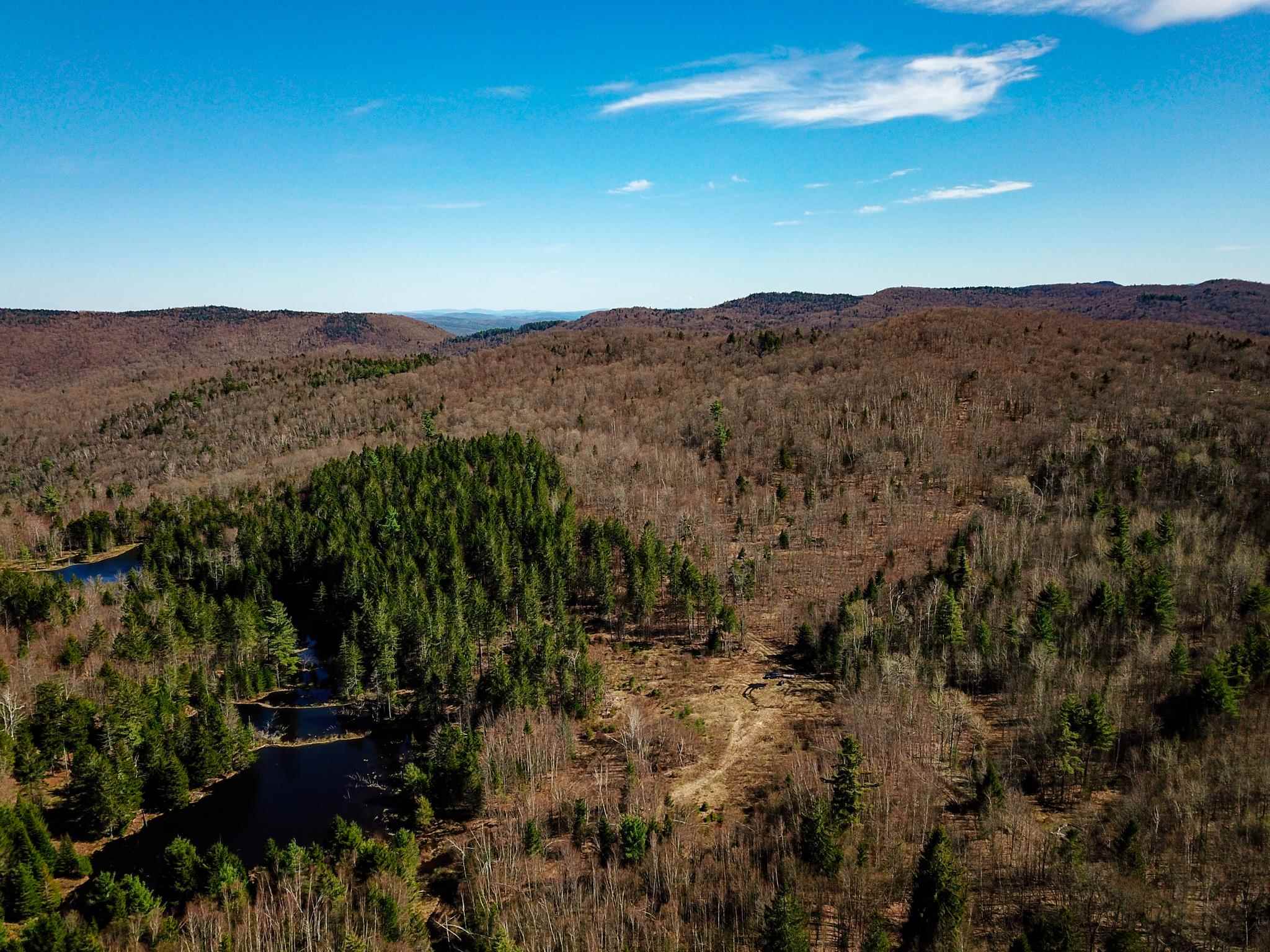 865 Beaver Meadow Road Roxbury, VT 05669 - Photo 22 of 40