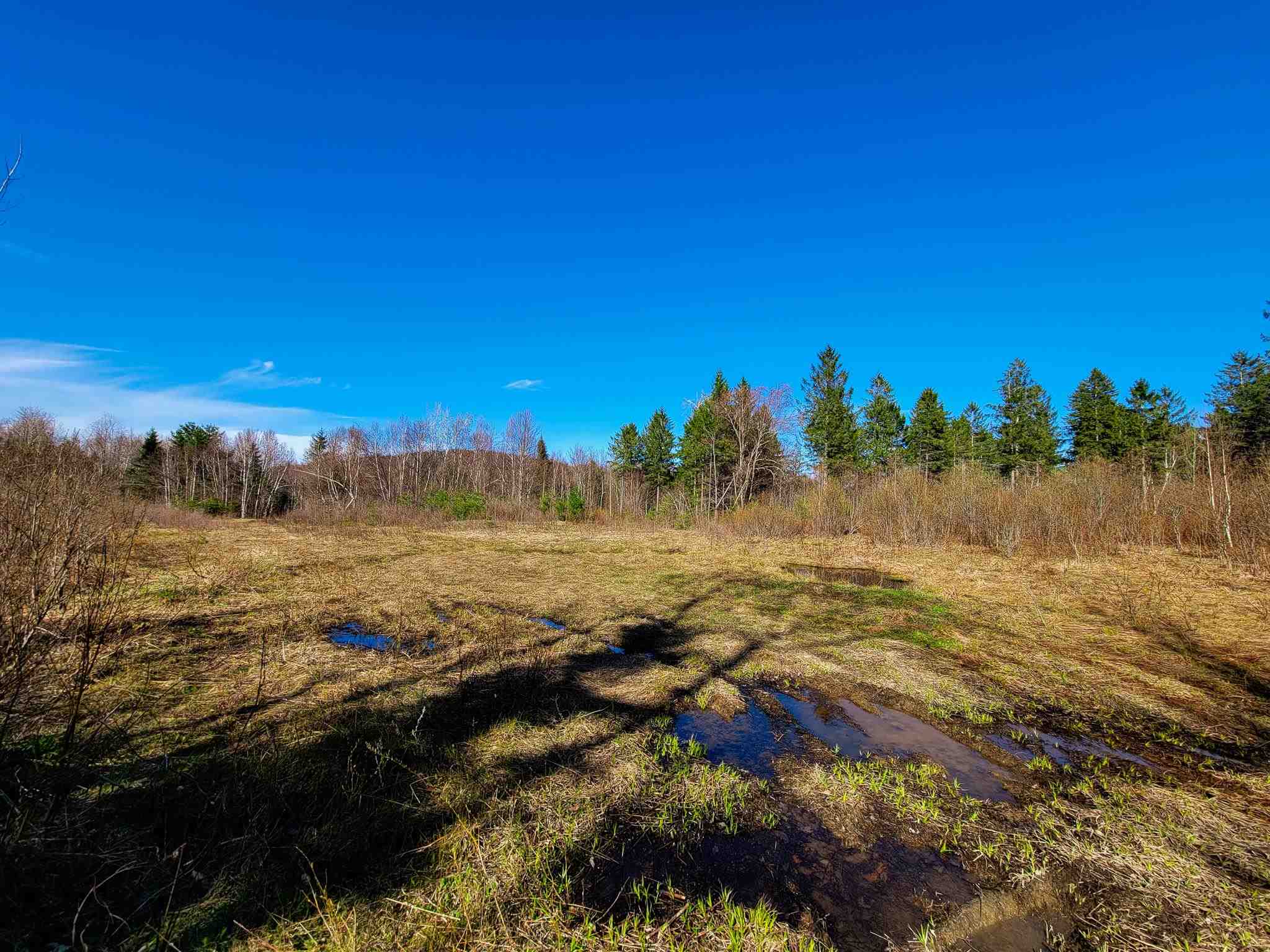 865 Beaver Meadow Road Roxbury, VT 05669 - Photo 23 of 40