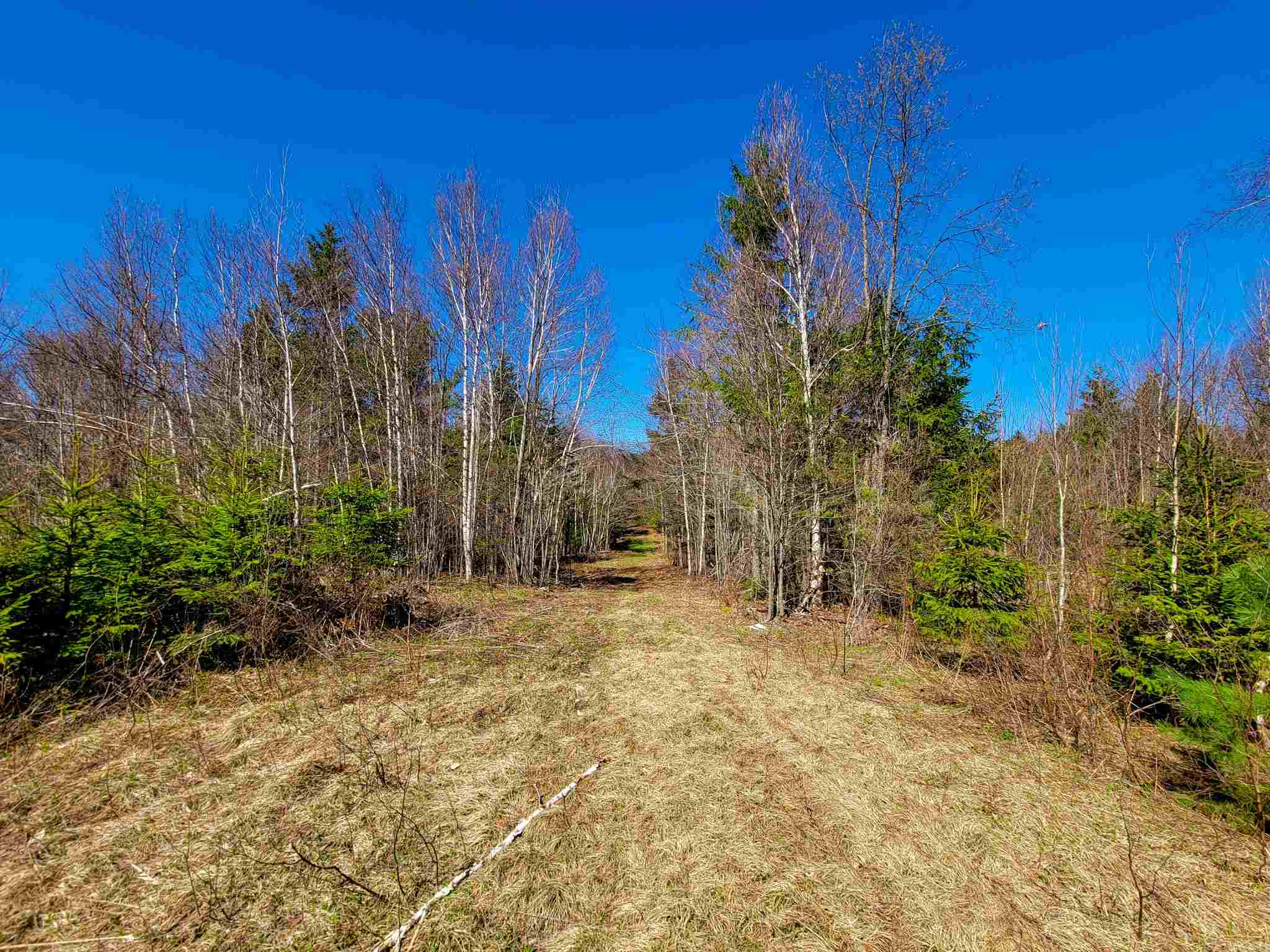 865 Beaver Meadow Road Roxbury, VT 05669 - Photo 25 of 40
