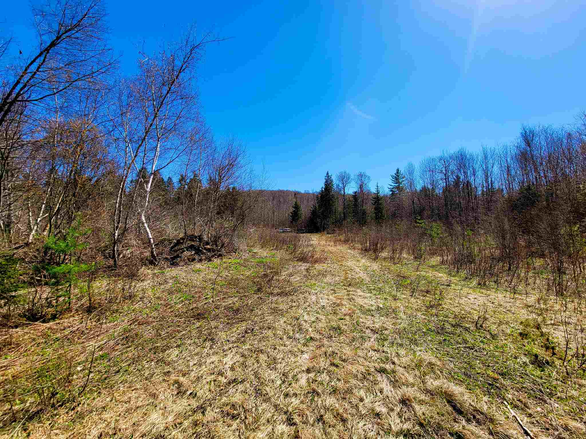 865 Beaver Meadow Road Roxbury, VT 05669 - Photo 26 of 40