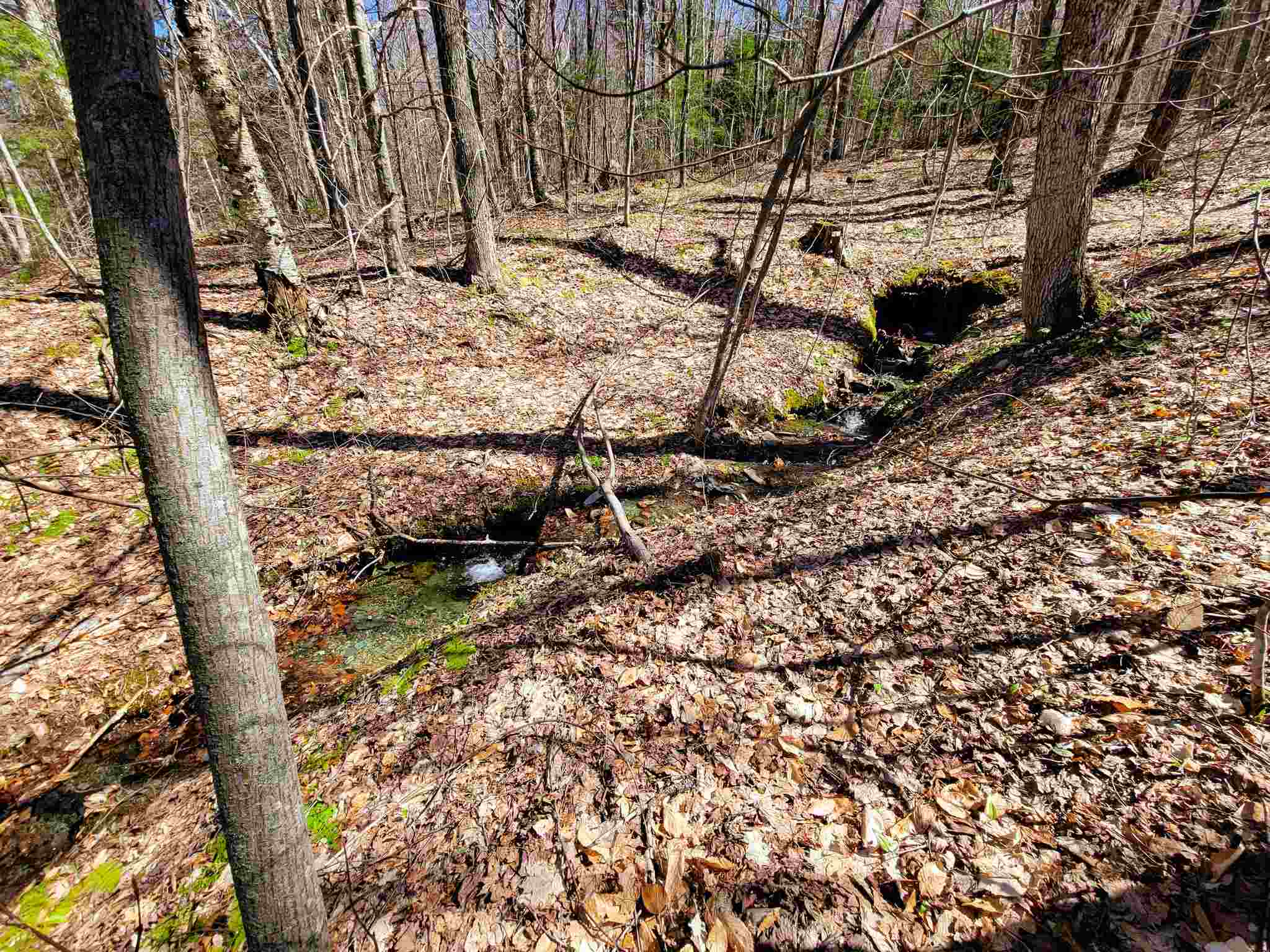 865 Beaver Meadow Road Roxbury, VT 05669 - Photo 28 of 40