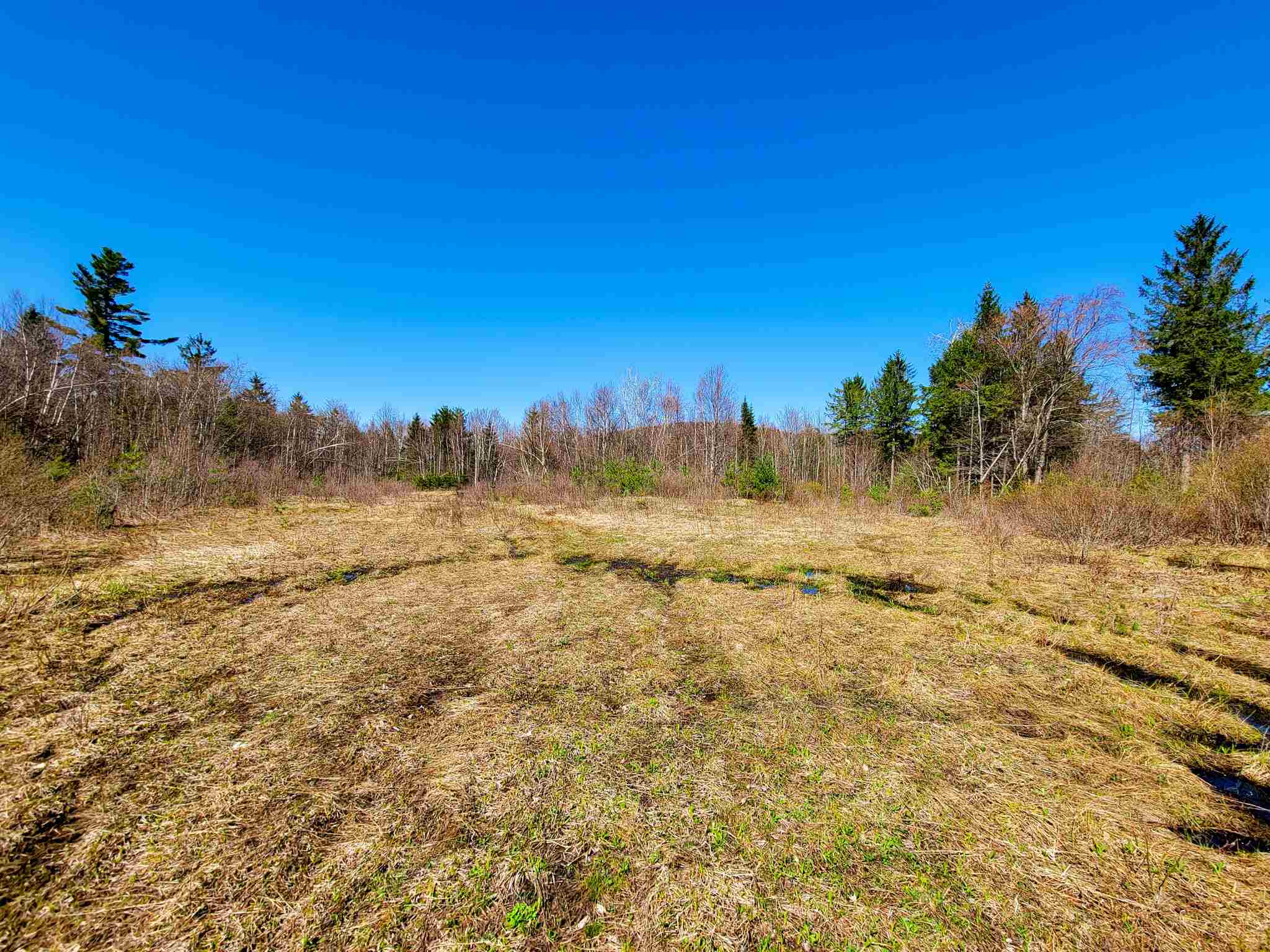865 Beaver Meadow Road Roxbury, VT 05669 - Photo 4 of 40
