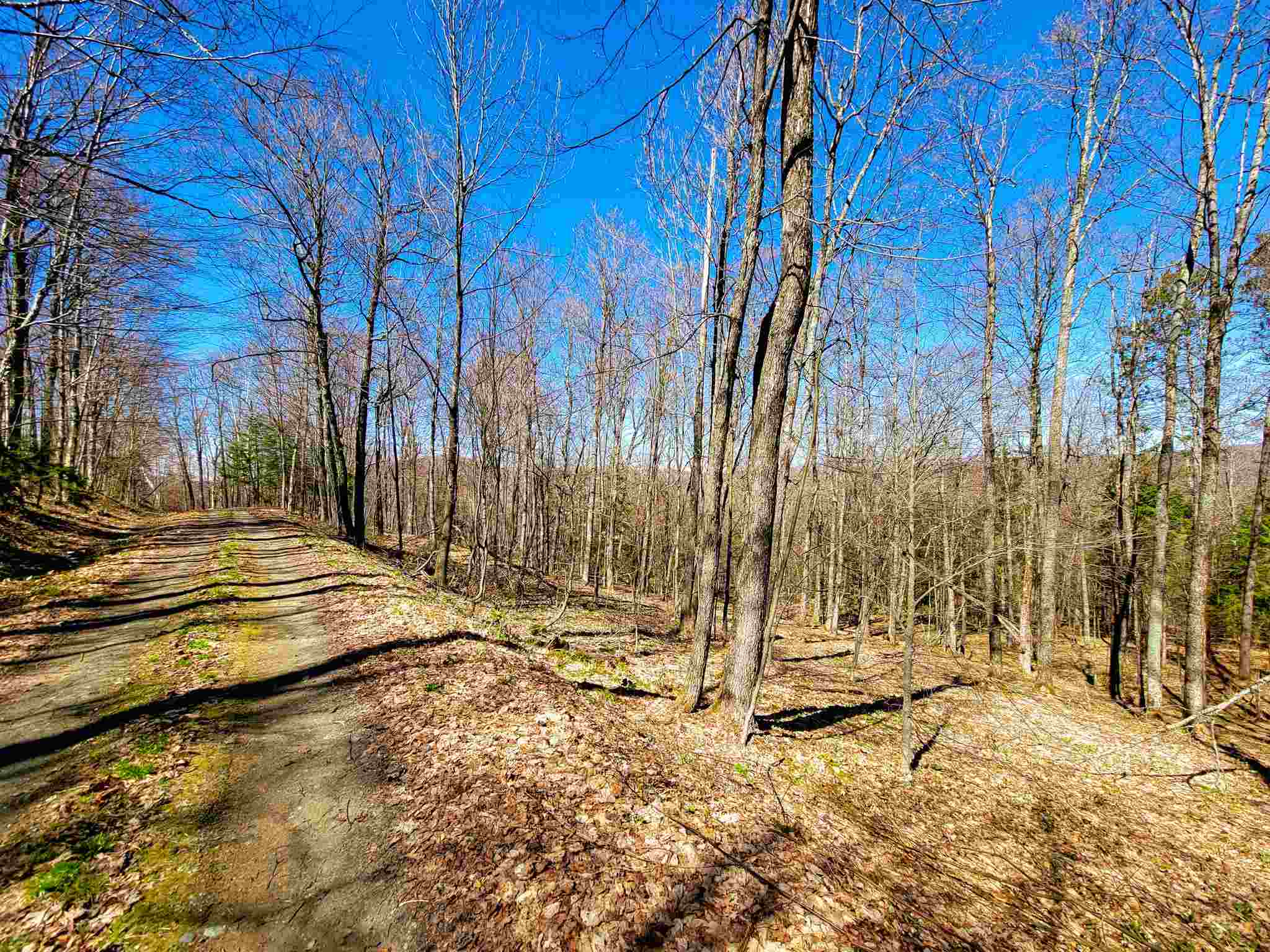 865 Beaver Meadow Road Roxbury, VT 05669 - Photo 33 of 40
