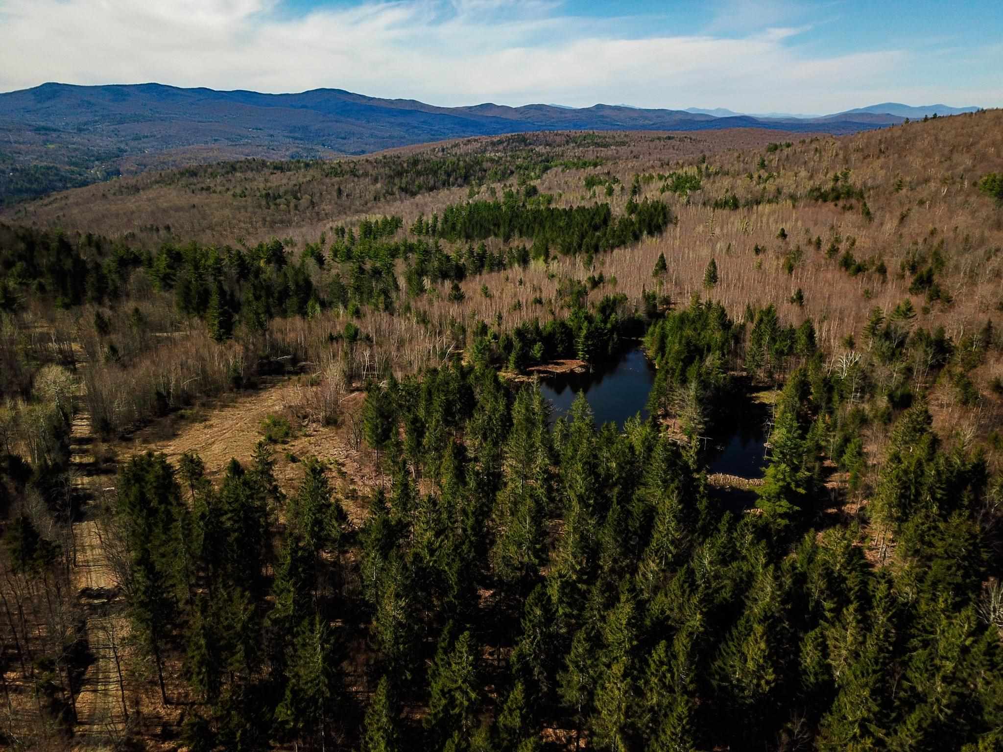 865 Beaver Meadow Road Roxbury, VT 05669 - Photo 40 of 40