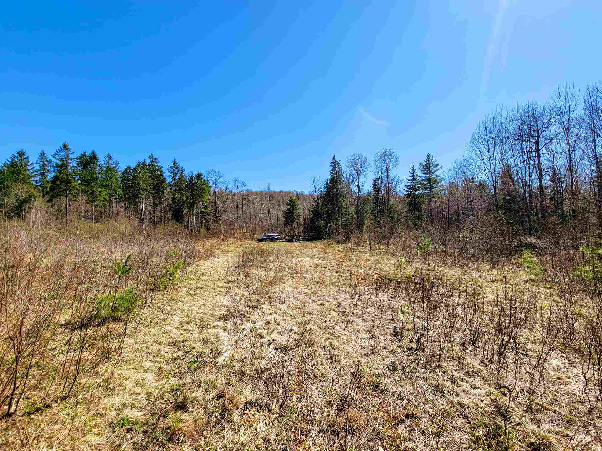 865 Beaver Meadow Road Roxbury, VT 05669 - Photo 6 of 40