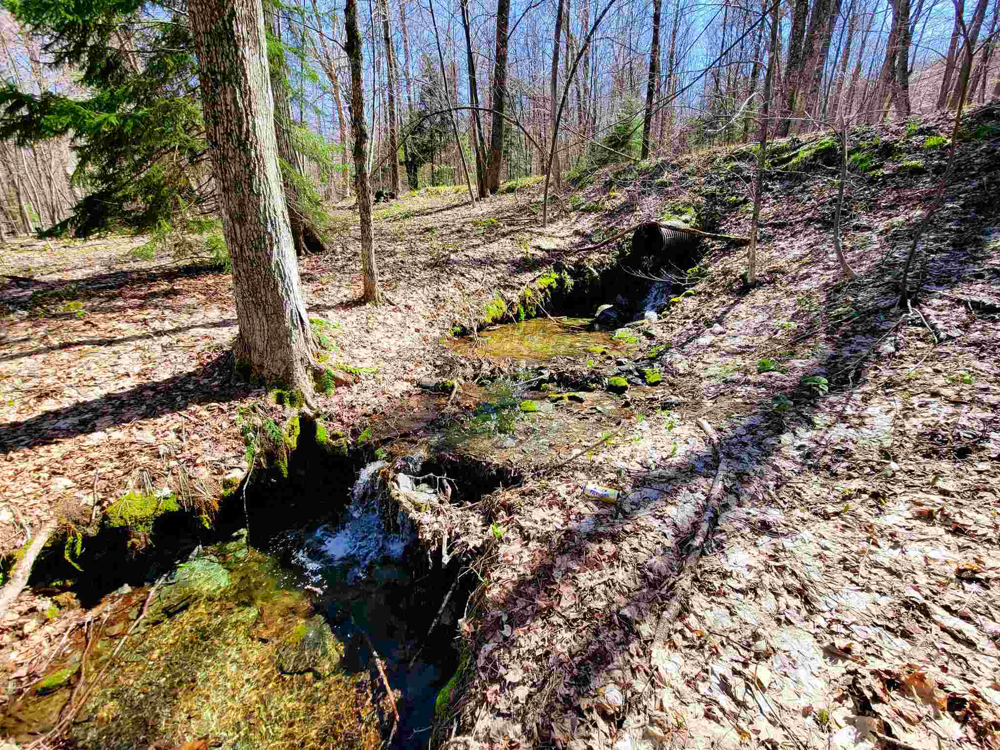 865 Beaver Meadow Road Roxbury, VT 05669 - Photo 8 of 40