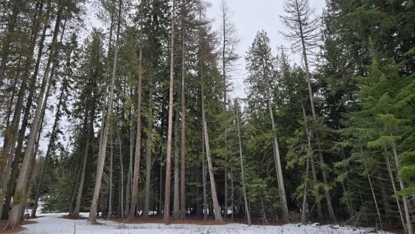 $50,000 | 10401 LeClerc Road North, Cusick, WA 99119
