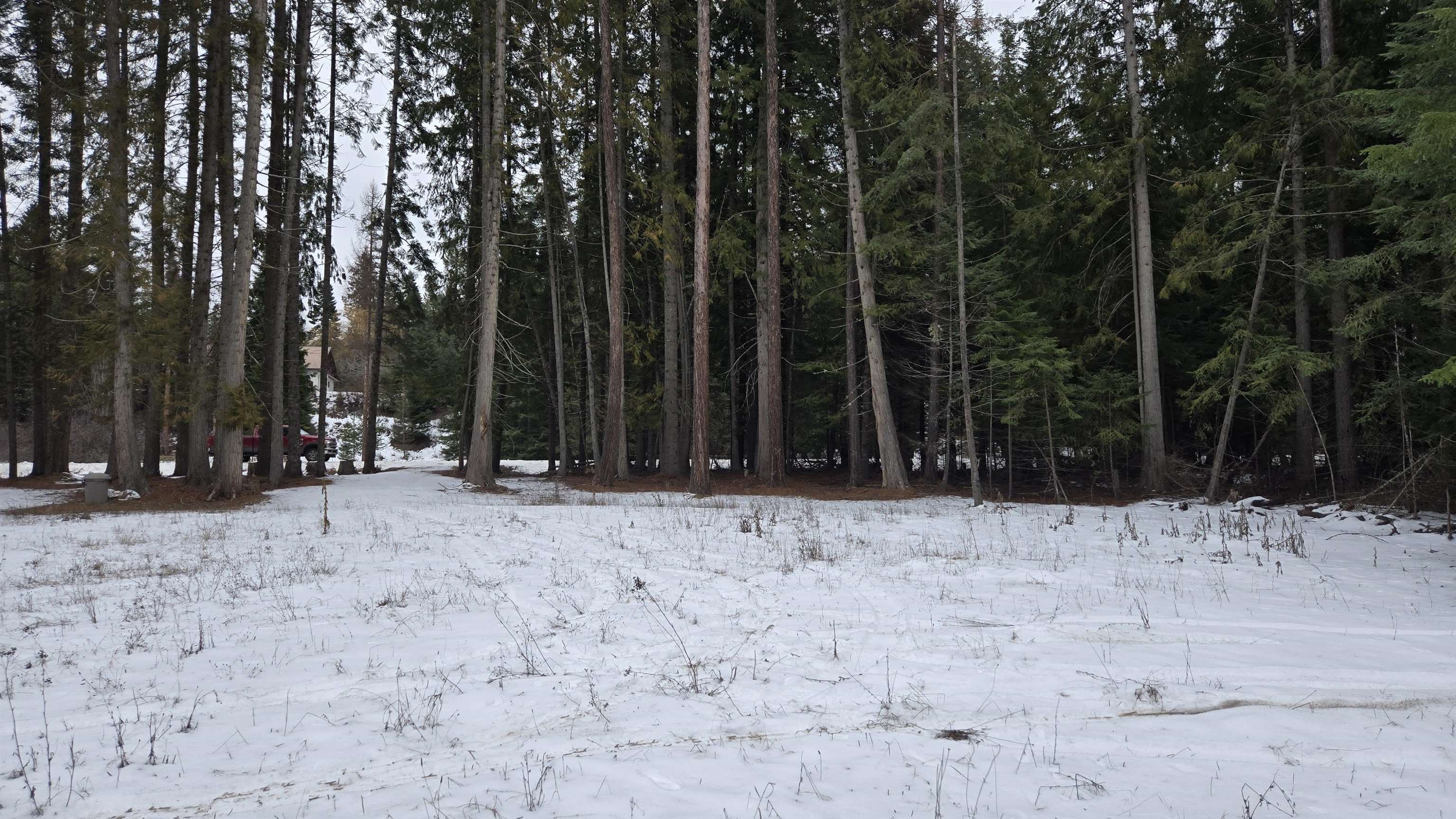 10401 LeClerc Road North Cusick, WA 99119 - Photo 13 of 21