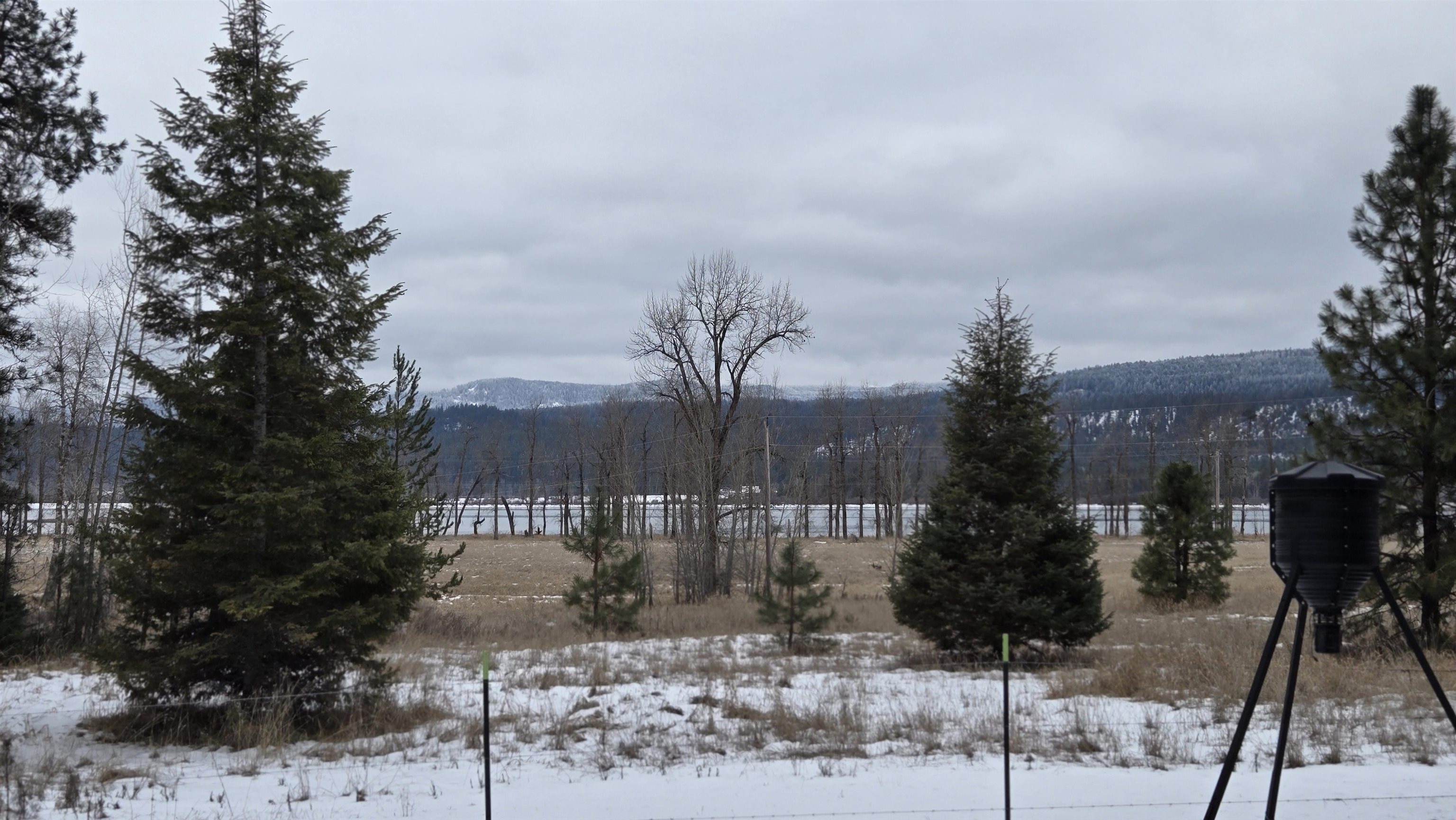 10401 LeClerc Road North Cusick, WA 99119 - Photo 17 of 34