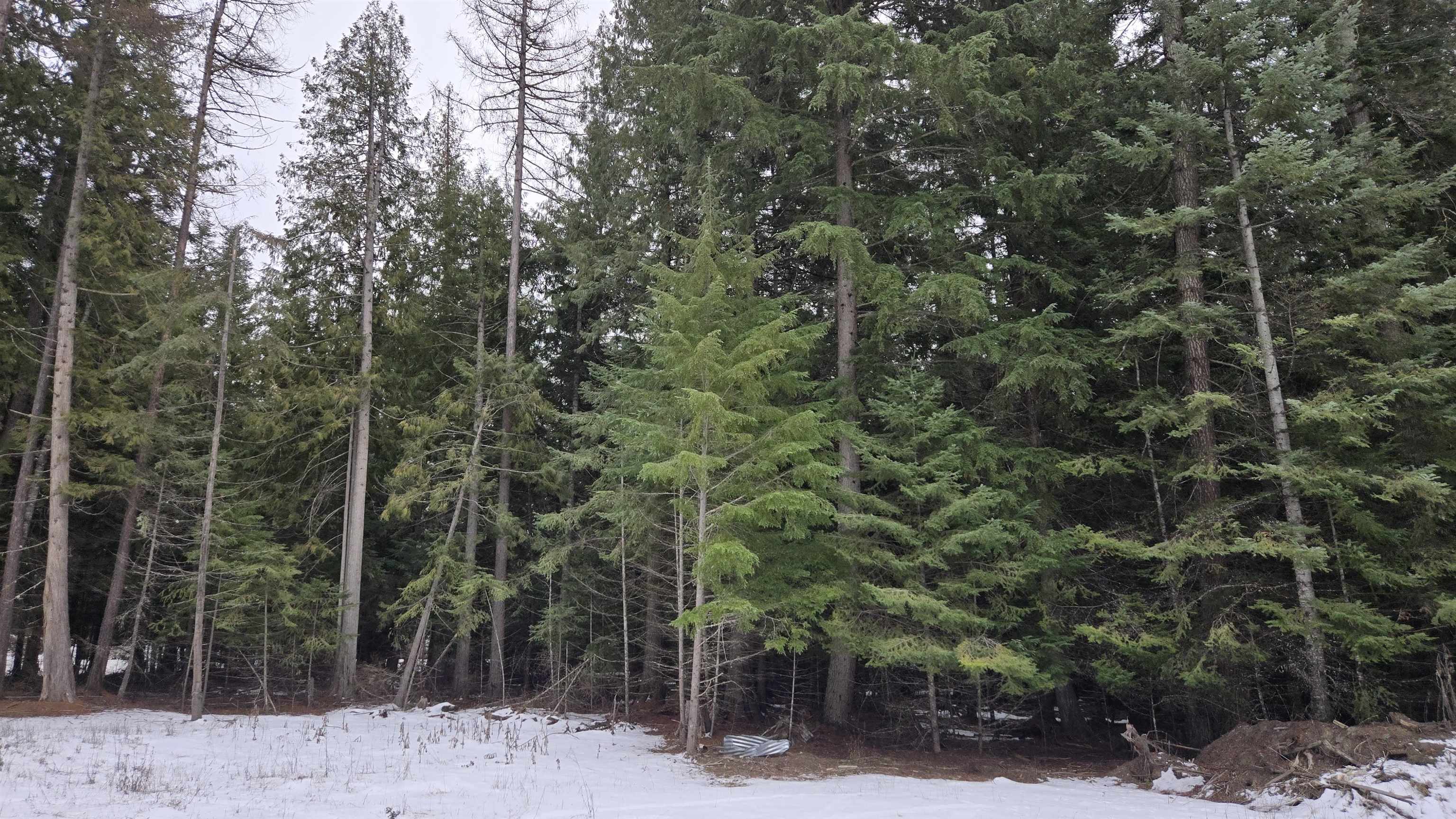 10401 LeClerc Road North Cusick, WA 99119 - Photo 20 of 34