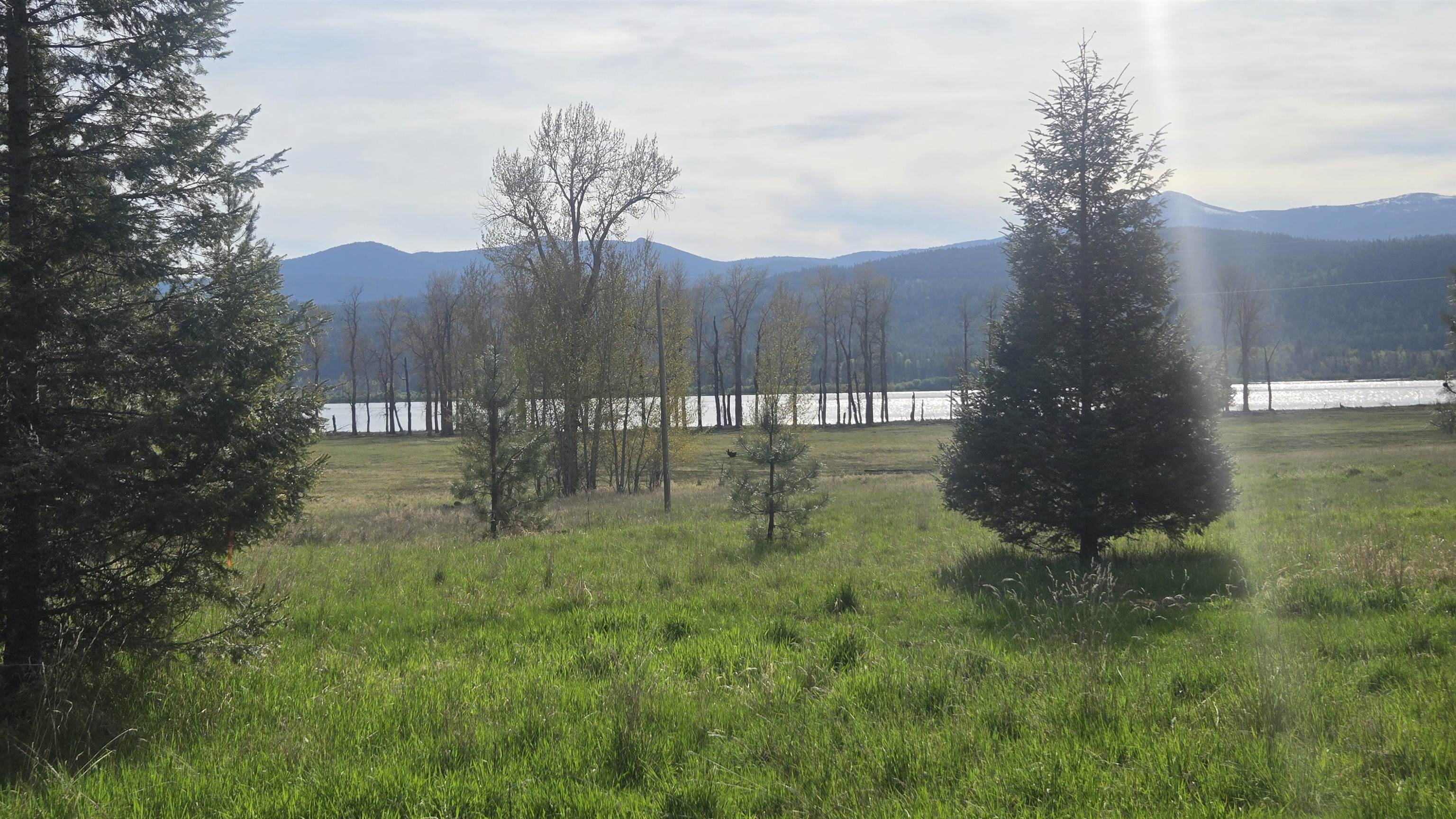 10401 LeClerc Road North Cusick, WA 99119 - Photo 4 of 34