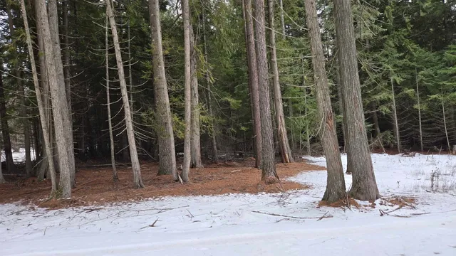 $60,000 | 10401 LeClerc Road North, Cusick, WA 99119